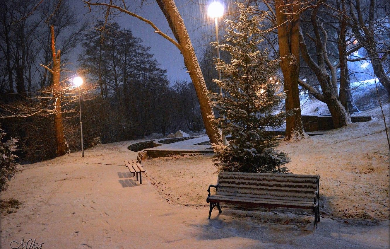 Wallpaper Winter, Night, Snow, Lights, Park, Winter, Night, Park, Snow, Benches image for desktop, section природа