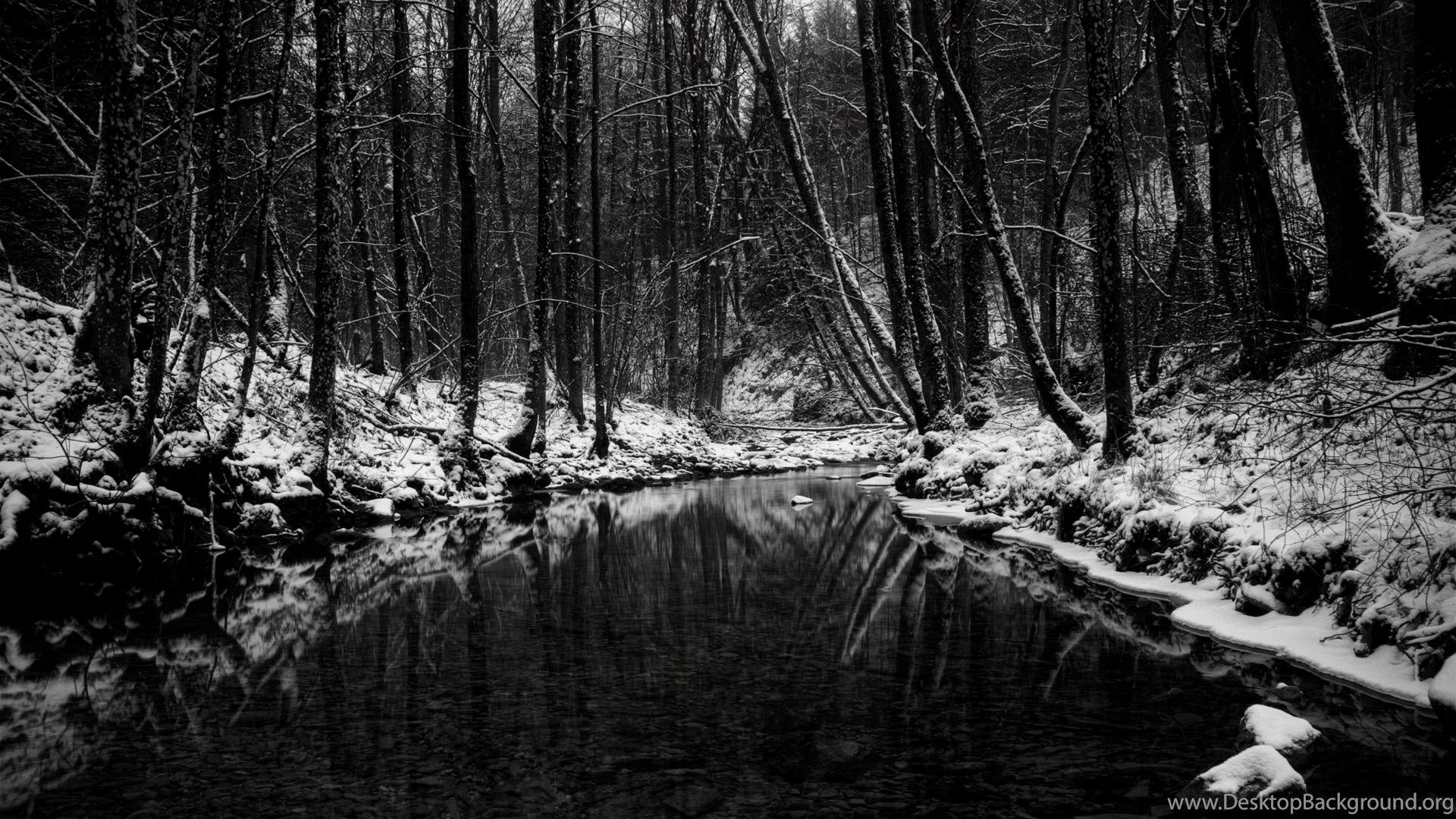 Black And White, Earth, Winter, 1920x1080 HD Wallpaper And FREE. Desktop Background