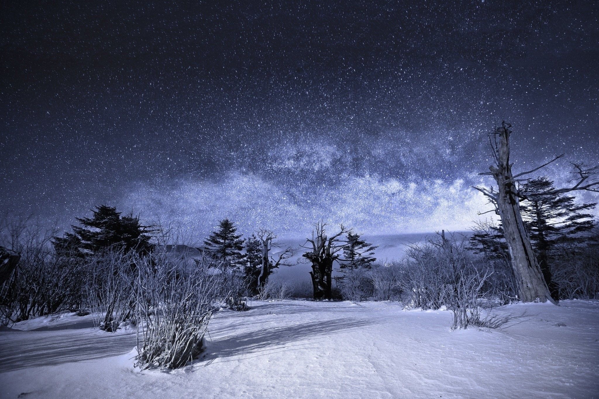 Snow Landscape Stars Nature Night Sky Winter Beautiful HD Wallpaper