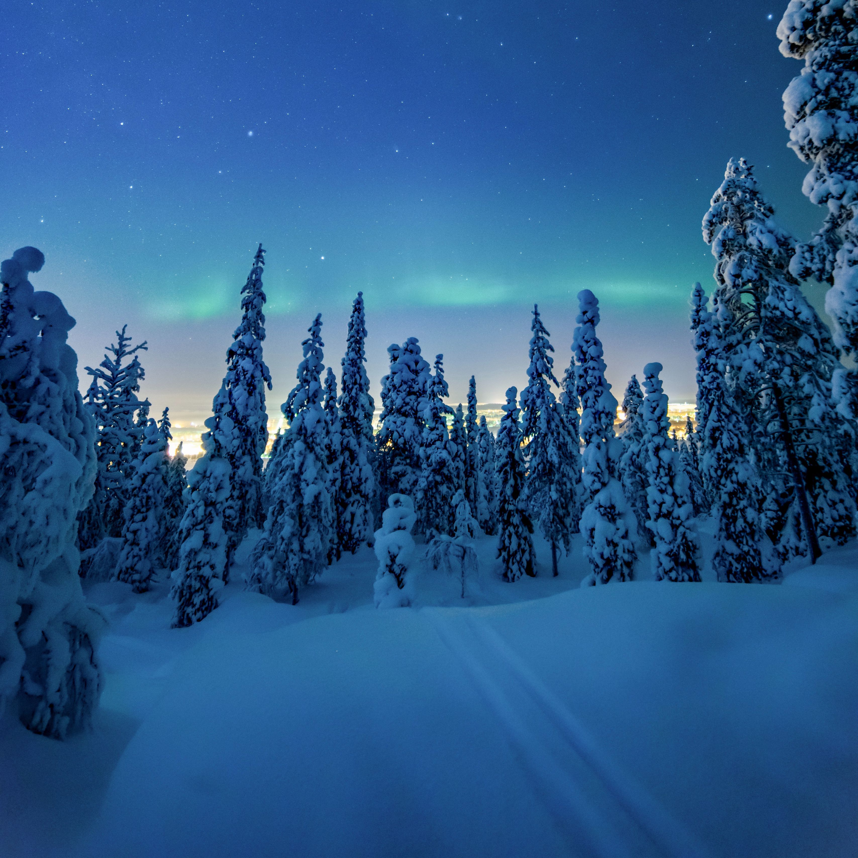 Download wallpaper 3415x3415 trees, snow, winter, night, landscape ipad pro 12.9 retina for parallax HD background