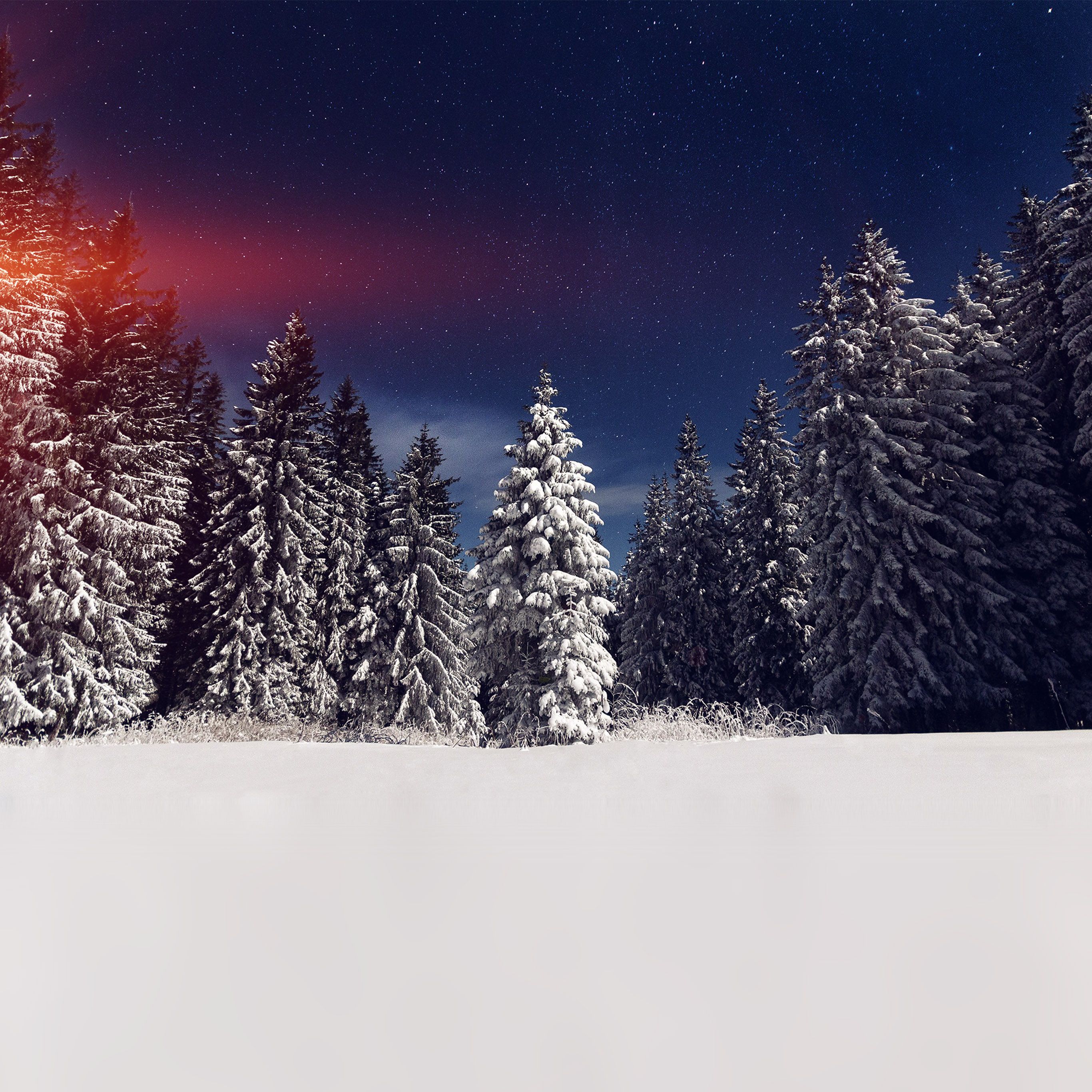 Snow Winter Wood Mountain Sky Star Night Flare Wallpaper