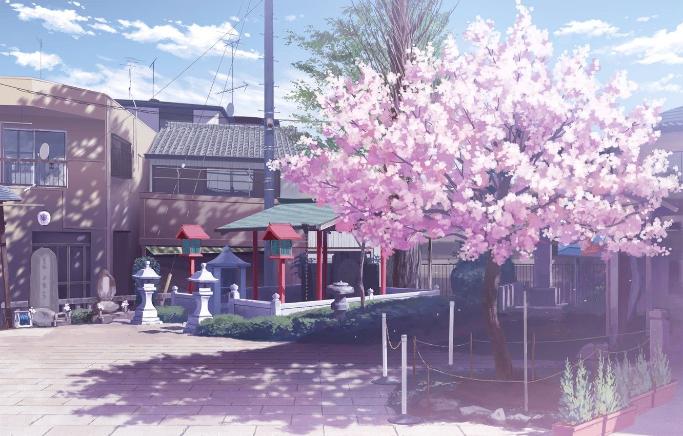 Wallpaper clouds, street, home, shadow, Sakura, lights, Japan, flowering image for desktop, section прочее