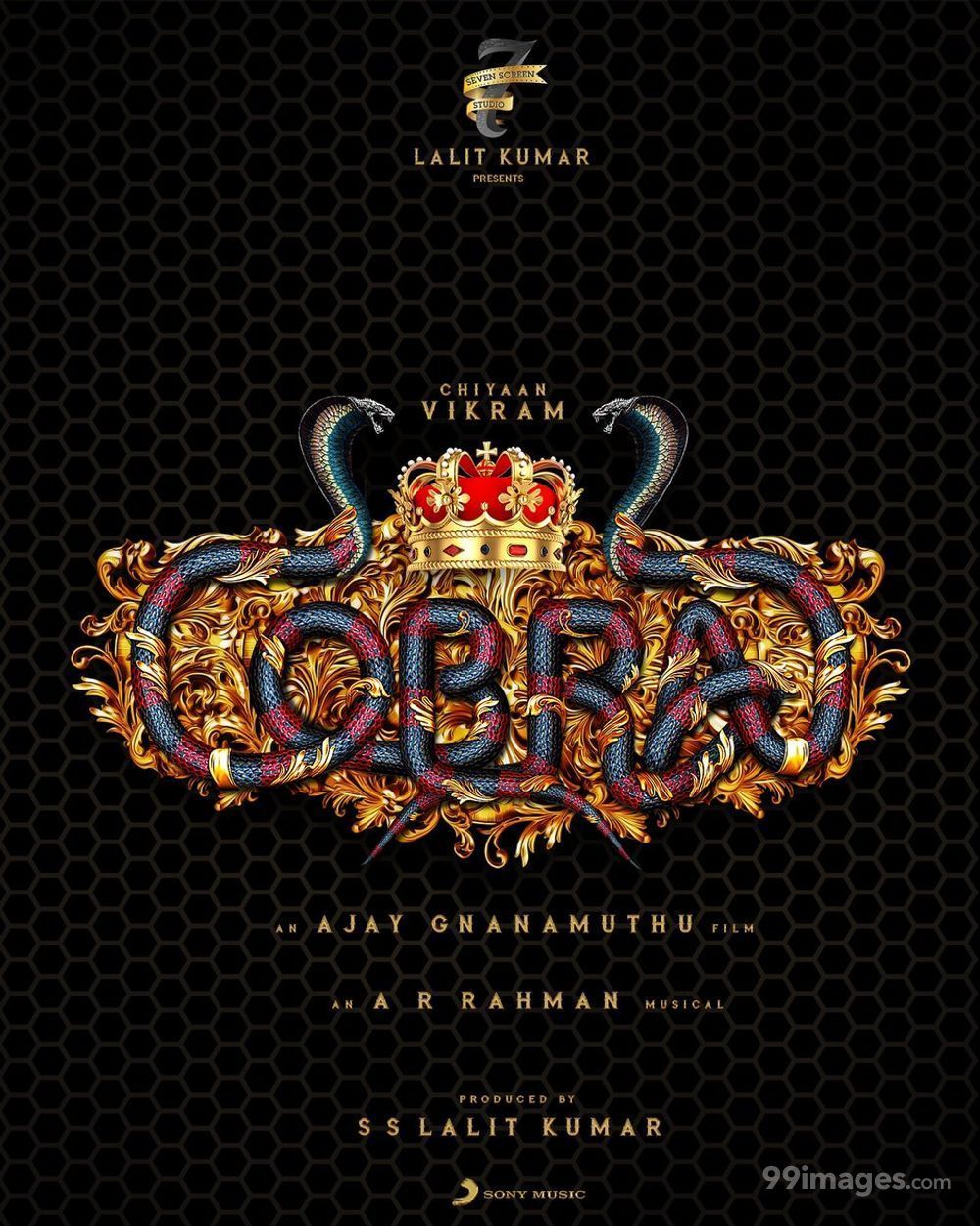 Cobra Image, HD Photo (1080p), Wallpaper (Android IPhone)