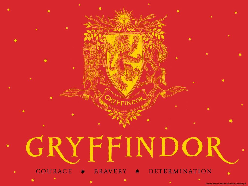 100 Gryffindor Aesthetic Pictures  Wallpaperscom