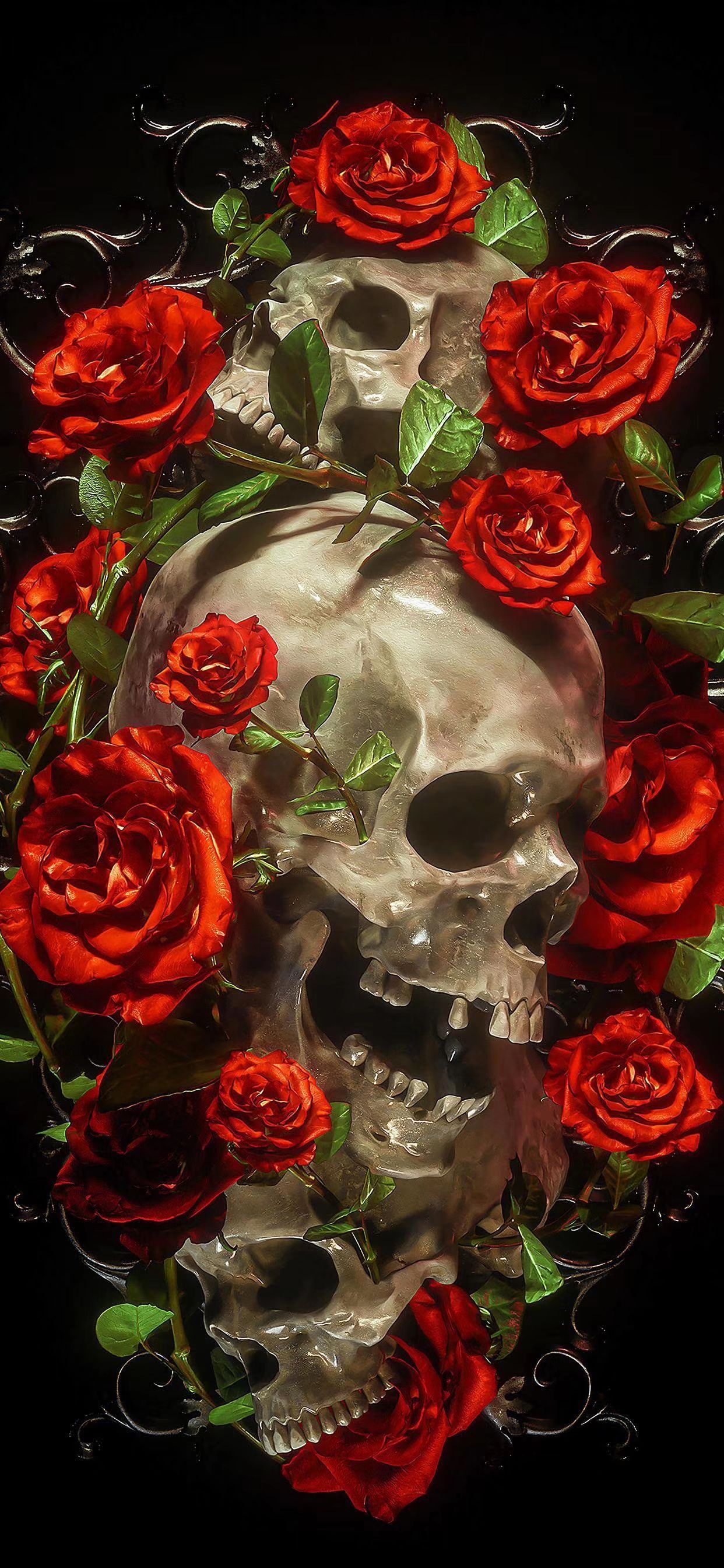 Rose skull wallpaper. Skull wallpaper, Goth wallpaper, Gothic wallpaper