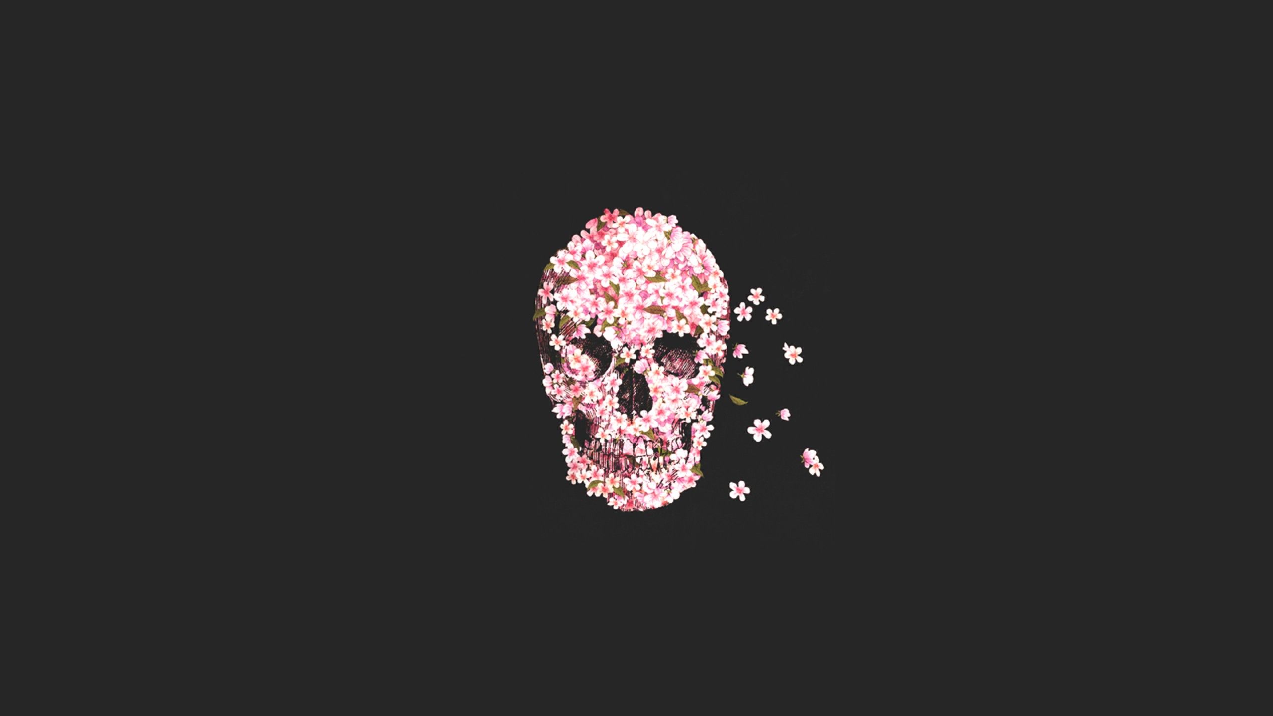 Sugar Skull, Skull, Rose Wallpaper HD / Desktop and Mobile Background
