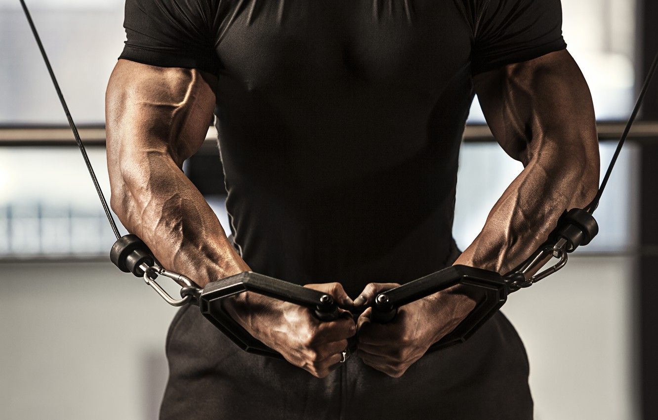Wallpaper Muscles, Gym, T Shirt, Arms, Veins Image For Desktop, Section спорт