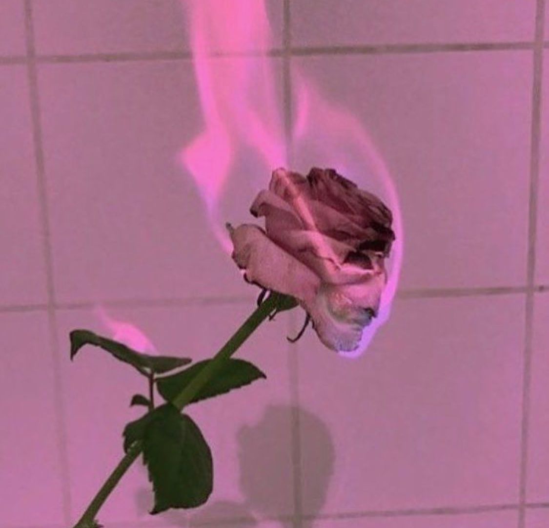 Retro Grunge Aesthetic Wallpaper iPhone. Retro Grunge Aesthetic Wallpaper. Aesthetic roses, Pink aesthetic, Pastel pink aesthetic