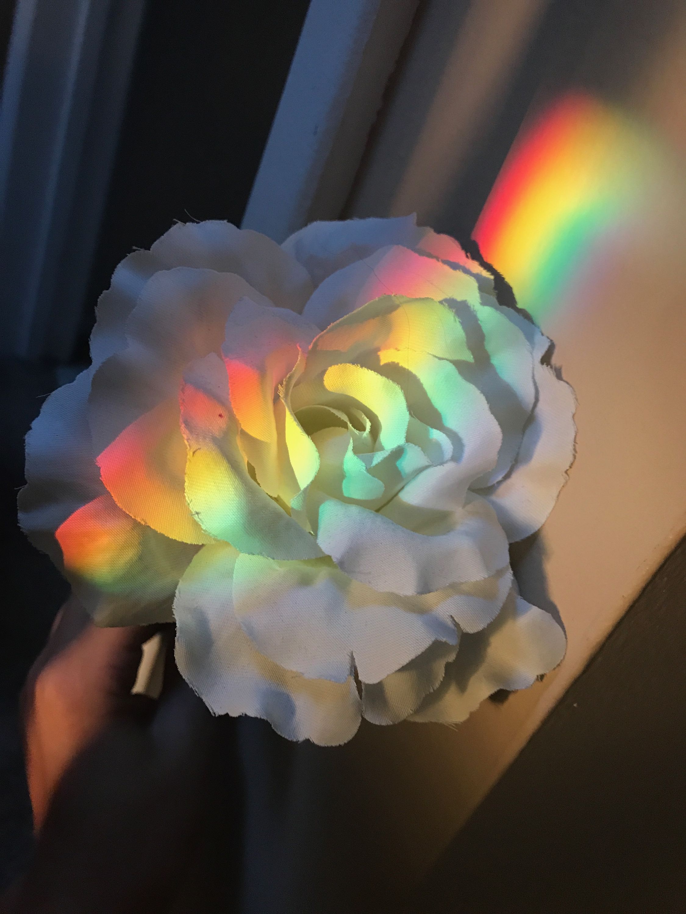 Aesthetic Rainbow Flower Wallpaper