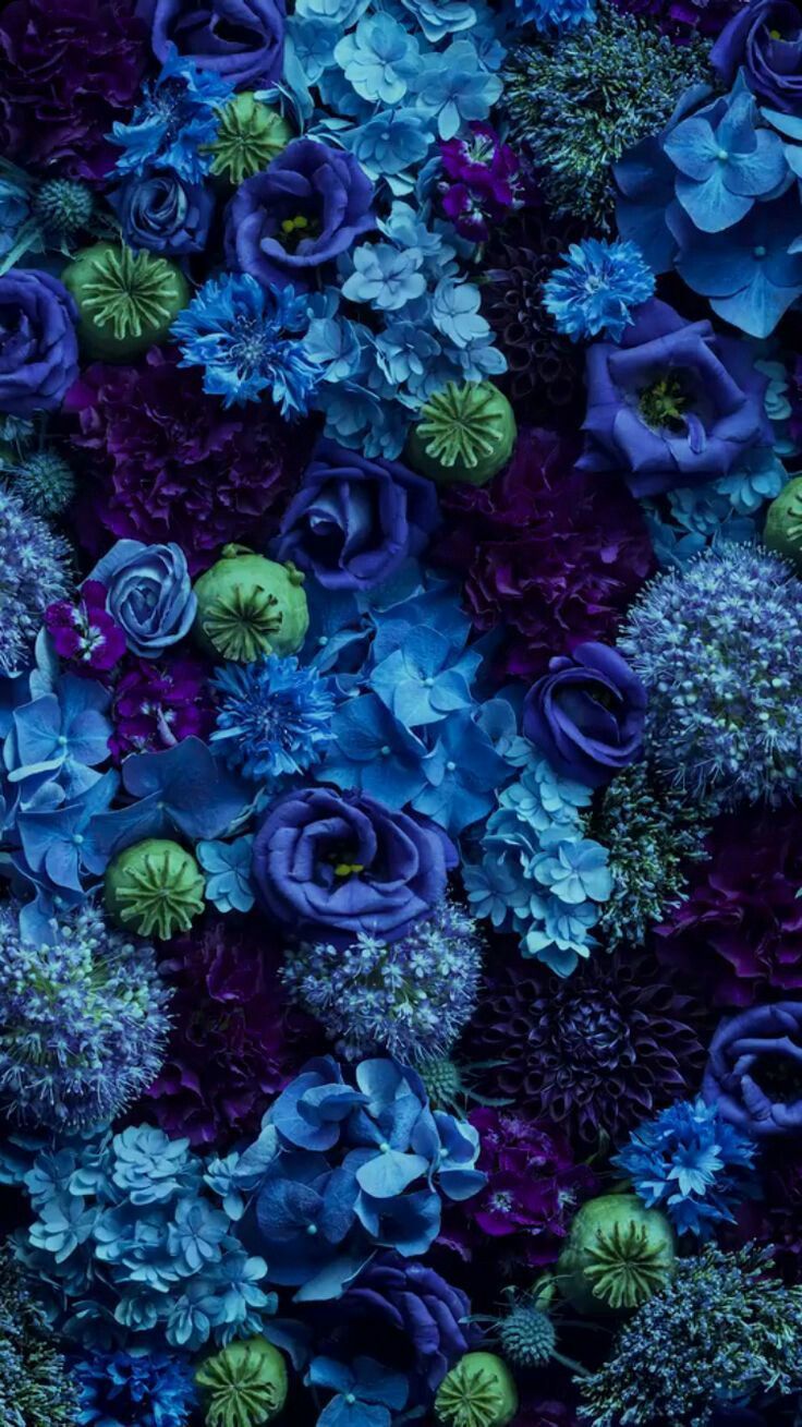 Purple & Blue Flowers. Blue flower wallpaper, Flower aesthetic, Flower wallpaper