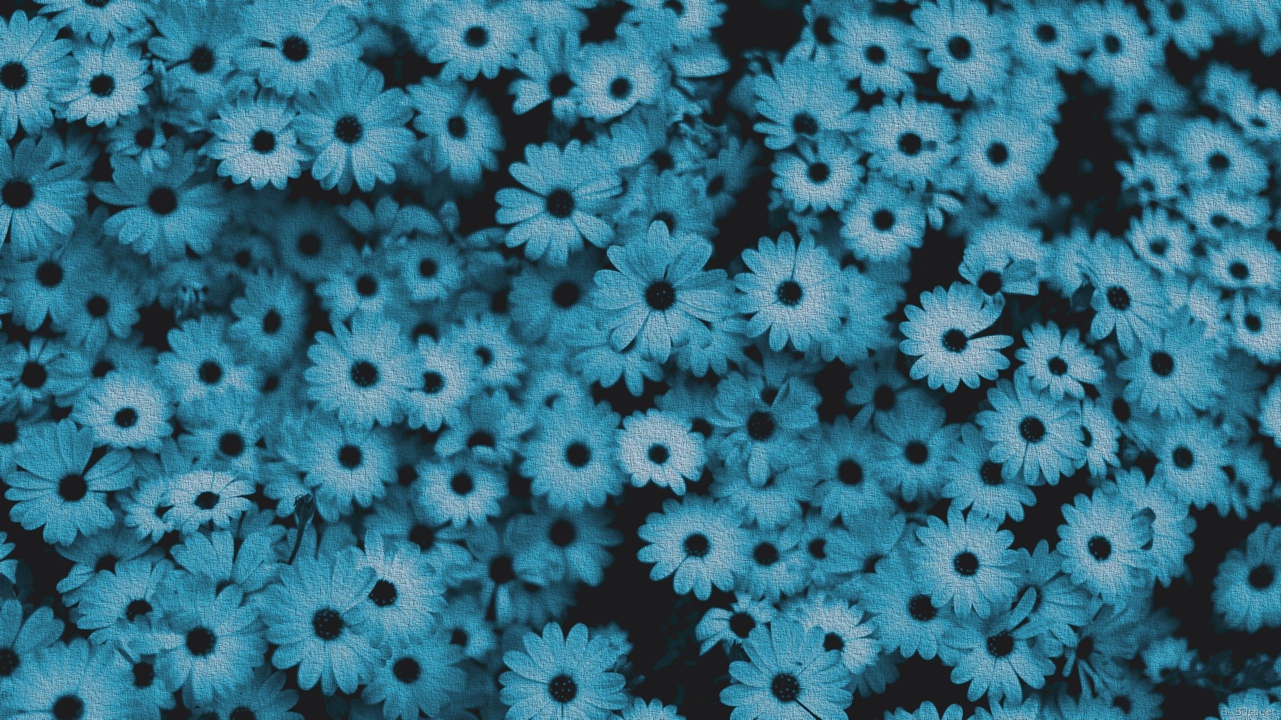 Blue Flower Aesthetic Desktop Wallpapers on WallpaperDog.