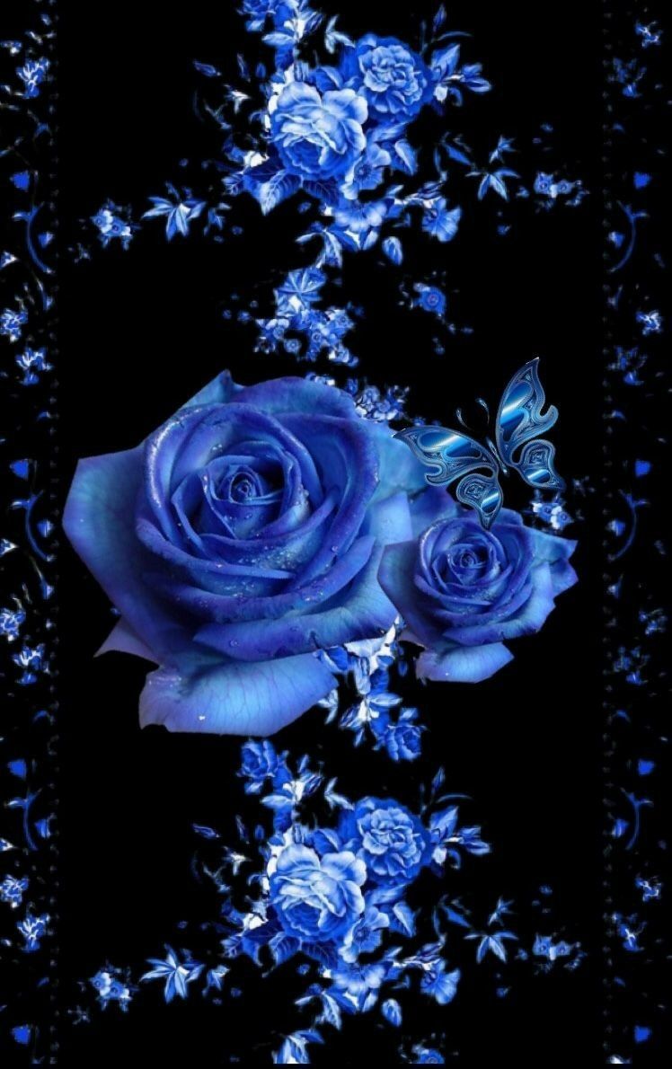Aesthetic Rose Wallpaper Blue