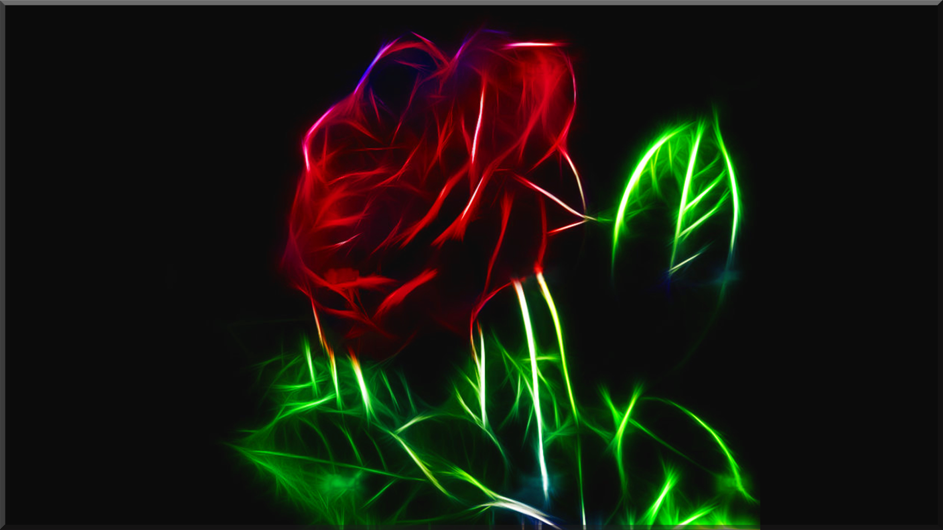 neon roses wallpaper