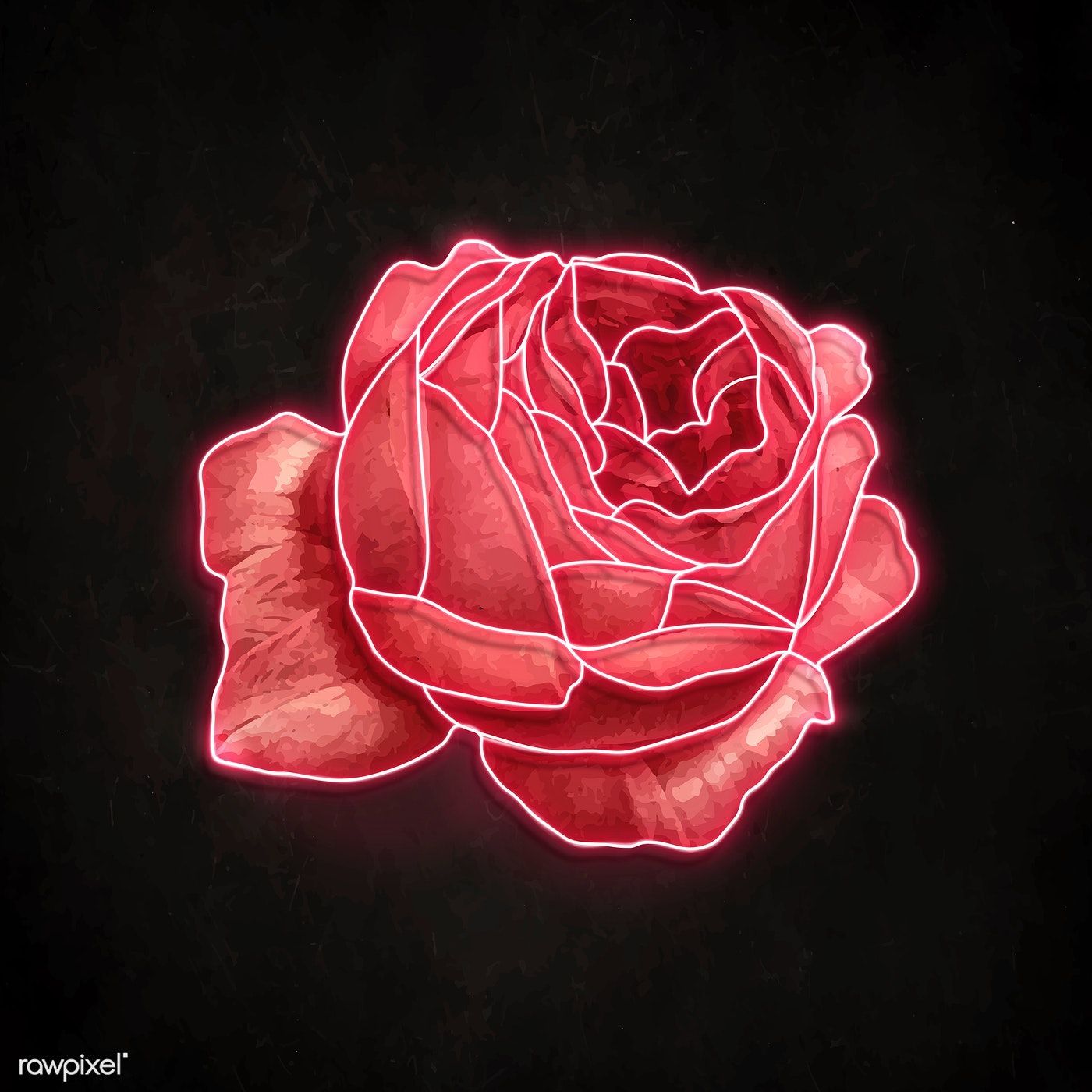 Download premium vector of Red neon rose on a black background vector. Red roses background, Rose drawing, Neon