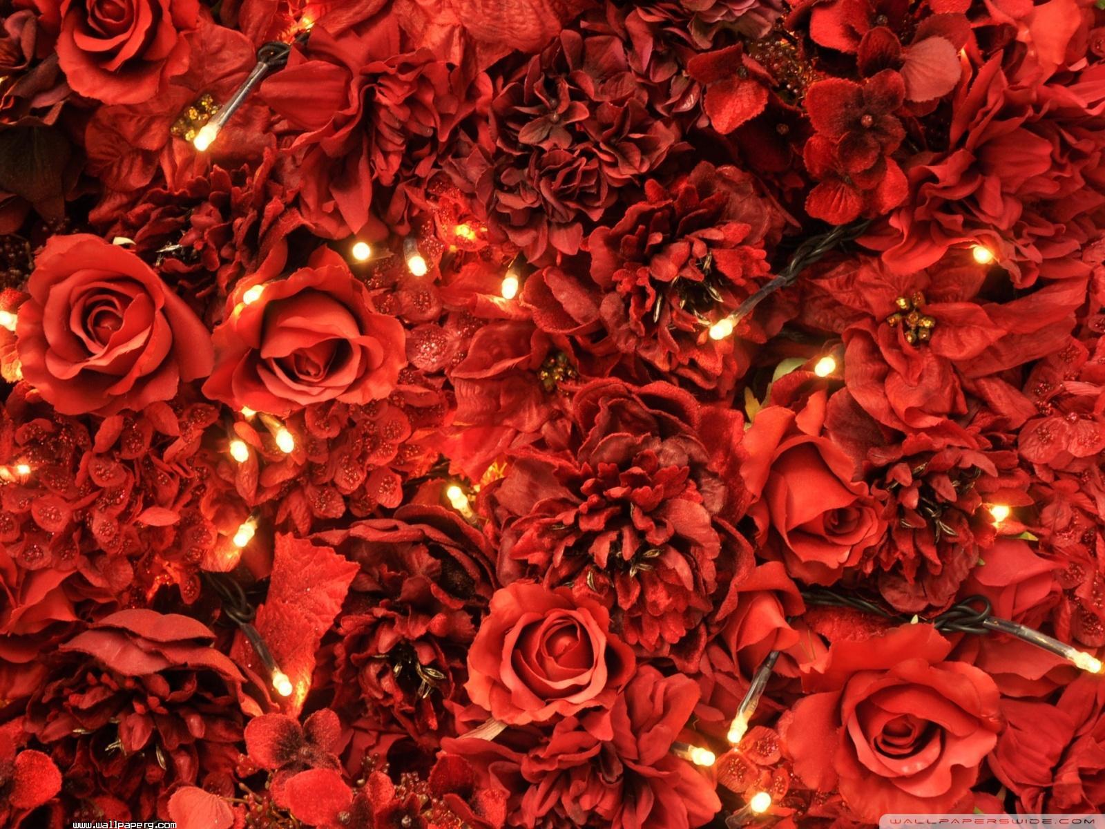 Download Red roses lights wallpaper day for your mobile cell phone
