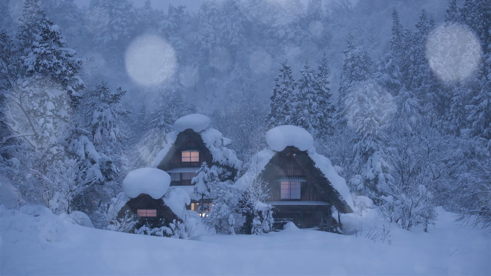 Japan, Shirakawa Go, Village, Houses, Trees, Thick Snow, Winter 1242x2688 IPhone 11 Pro XS Max Wallpaper, Background, Picture, Image