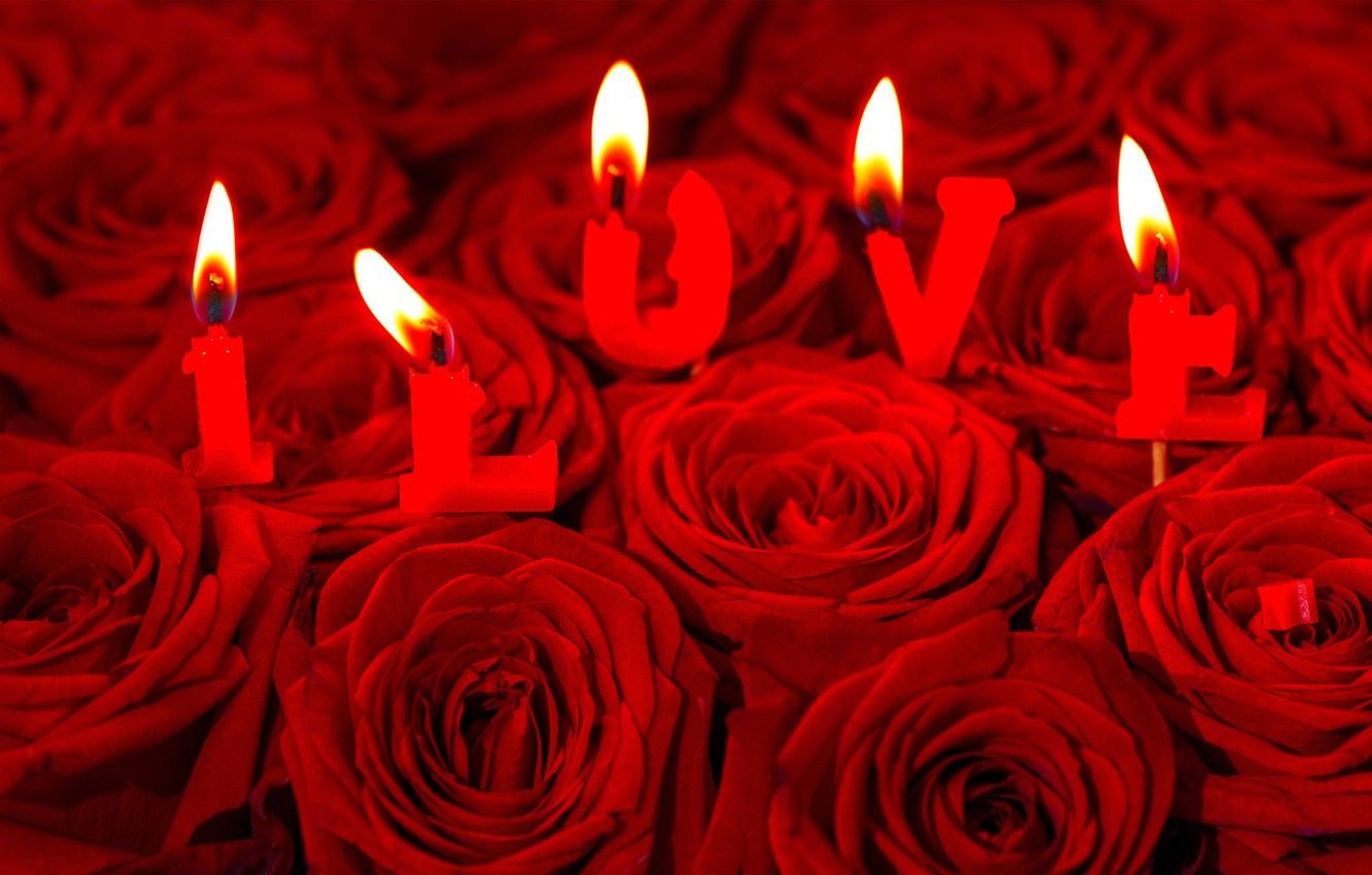 Wallpaper flowers, lights, letters, the inscription, roses, candles, red, Valentine's day, bokeh, I LOVE image for desktop, section настроения