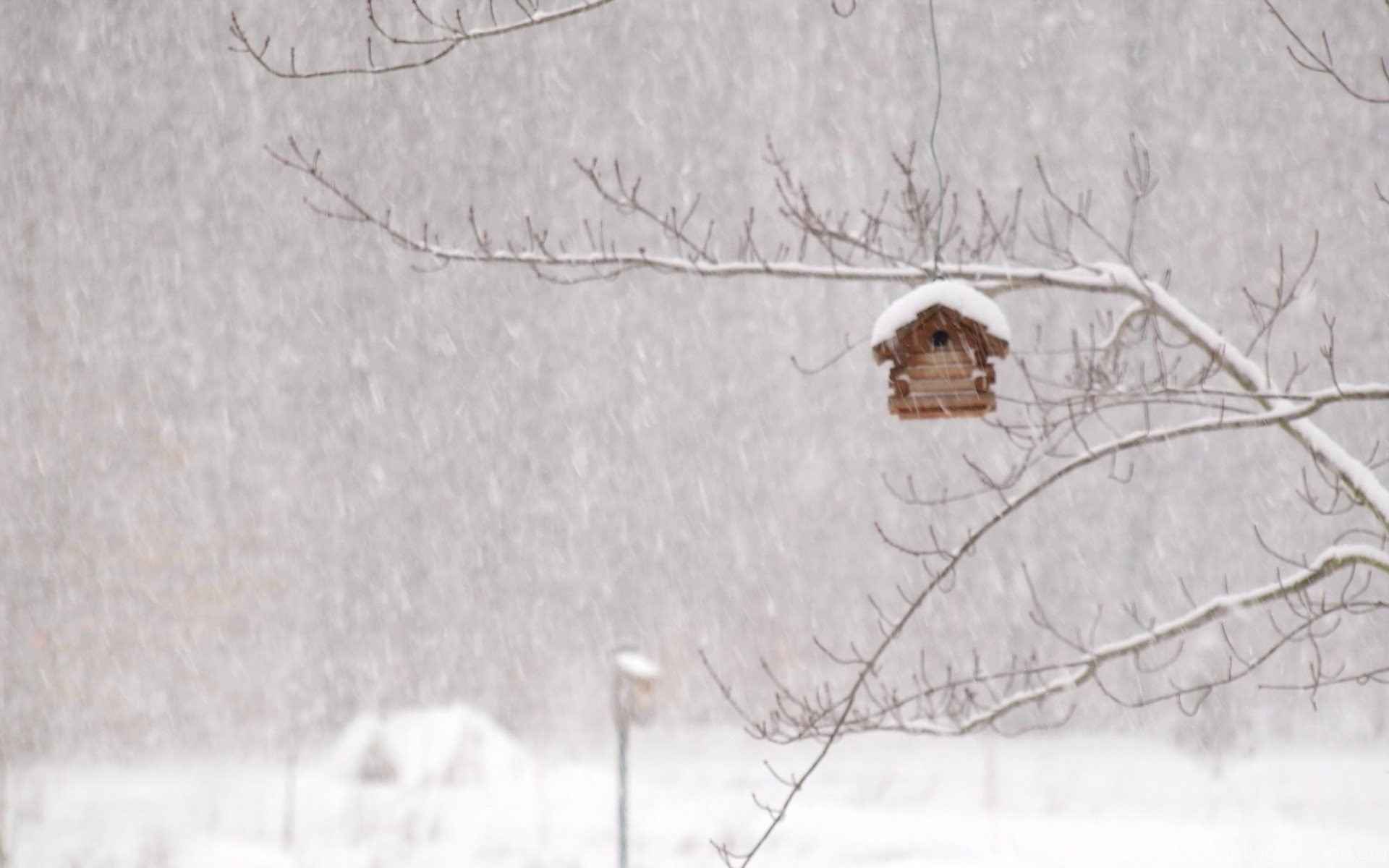Winter Storm House Snow Birds Wallpaper Desktop Background