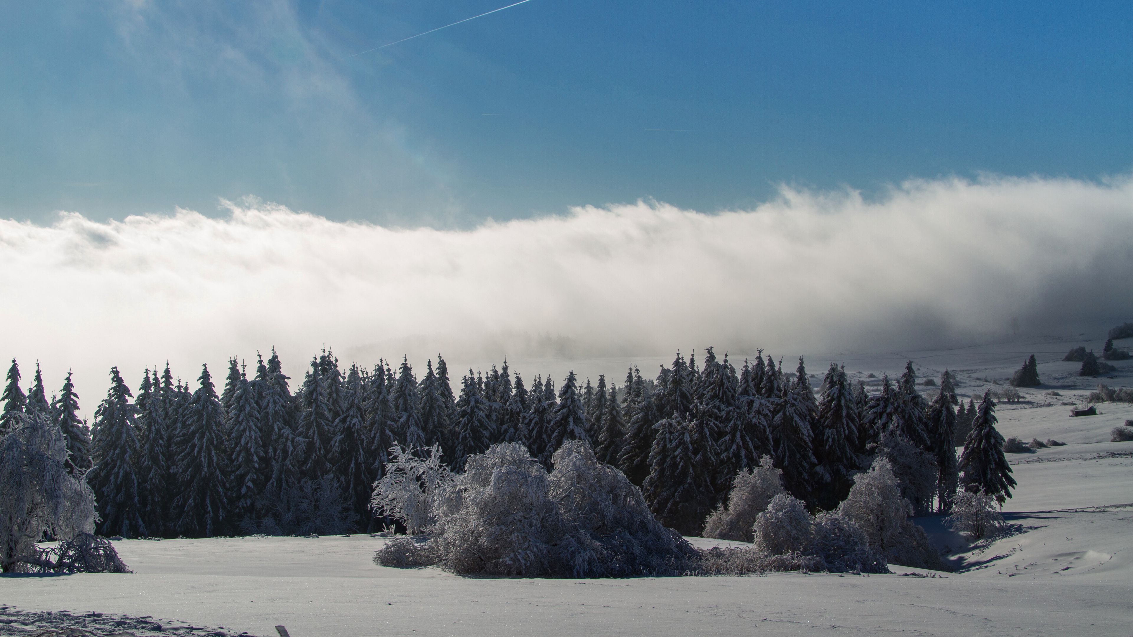 Download wallpaper 3840x2160 wasserkuppe, mountain, forest, winter, snow, storm 4k uhd 16:9 HD background