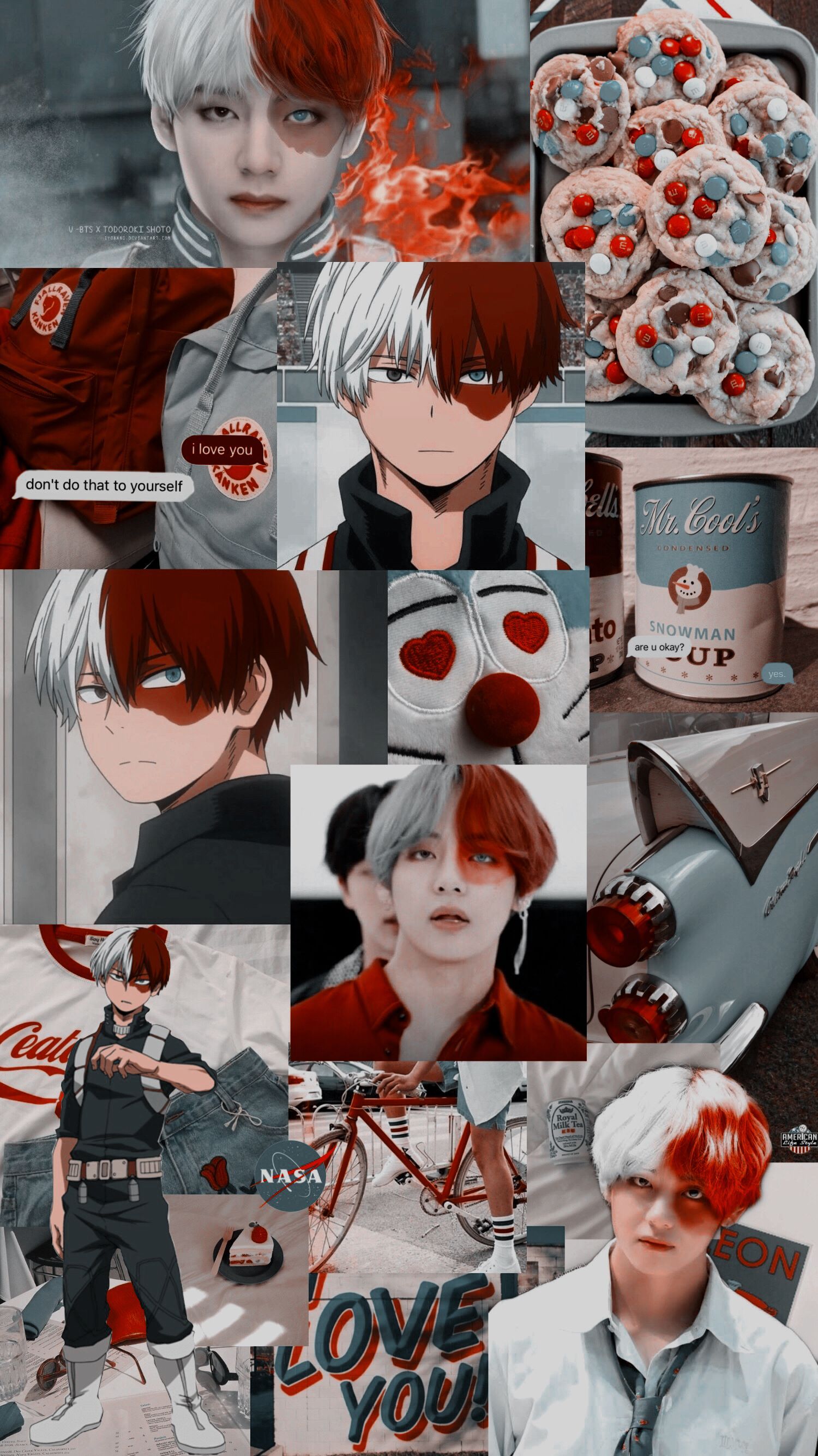 Aesthetic Anime Wallpaper Todoroki