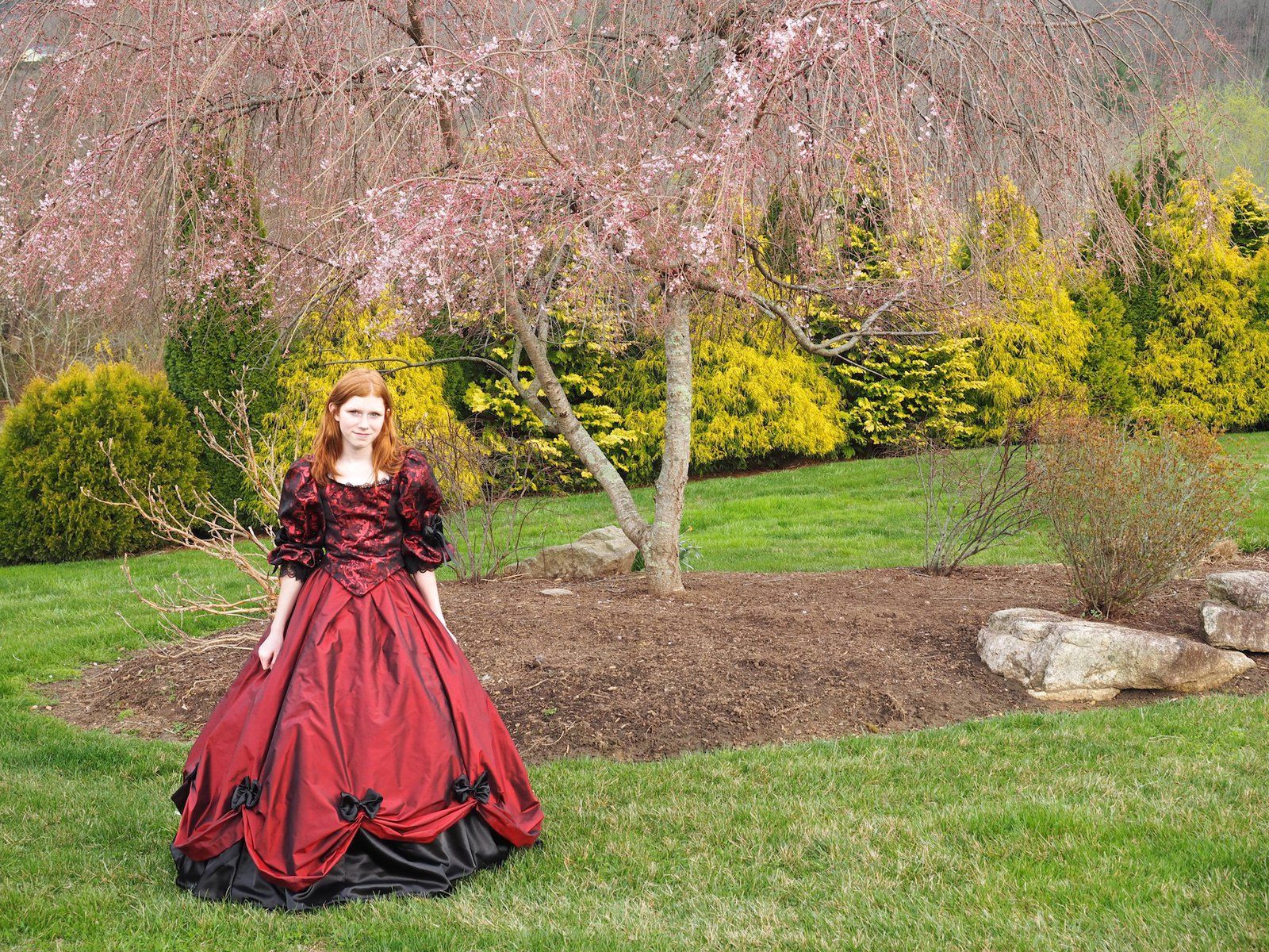 Red Dress and Cherry Tree. Red dress, Dresses, Winter gowns