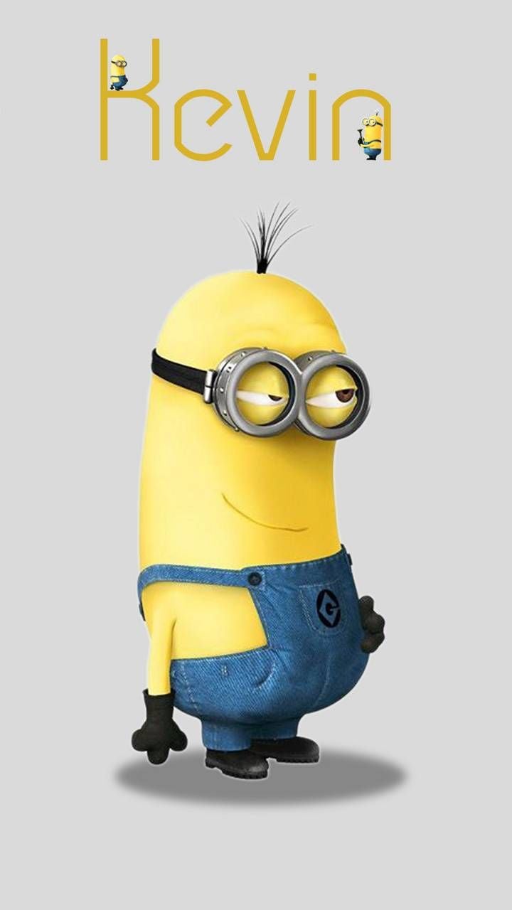 Download Minion Kevin Annoyed With Stupid Kevin Wallpaper  Wallpaperscom