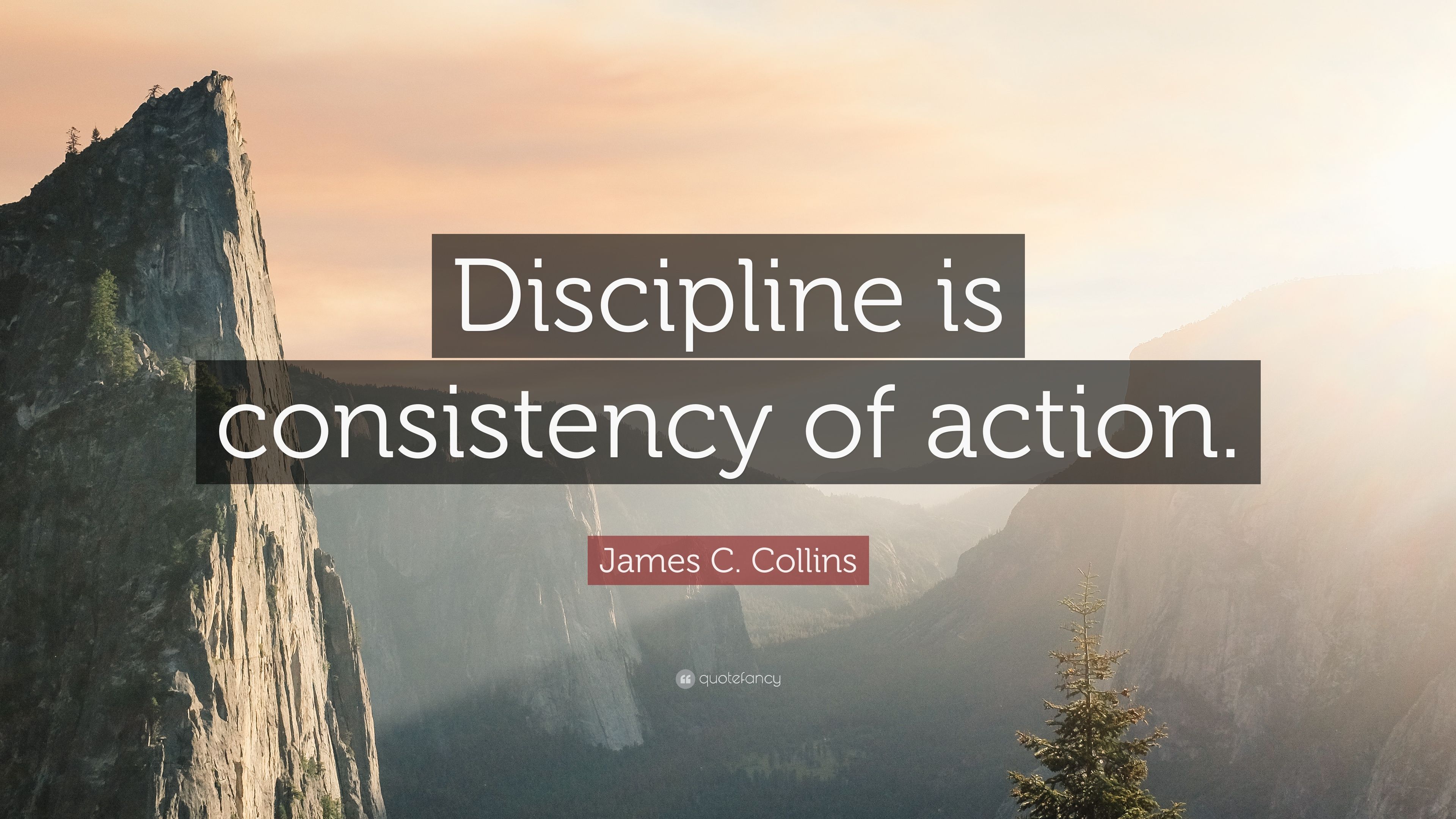 James C. Collins Quote: “Discipline is consistency of action.” (7 wallpaper)