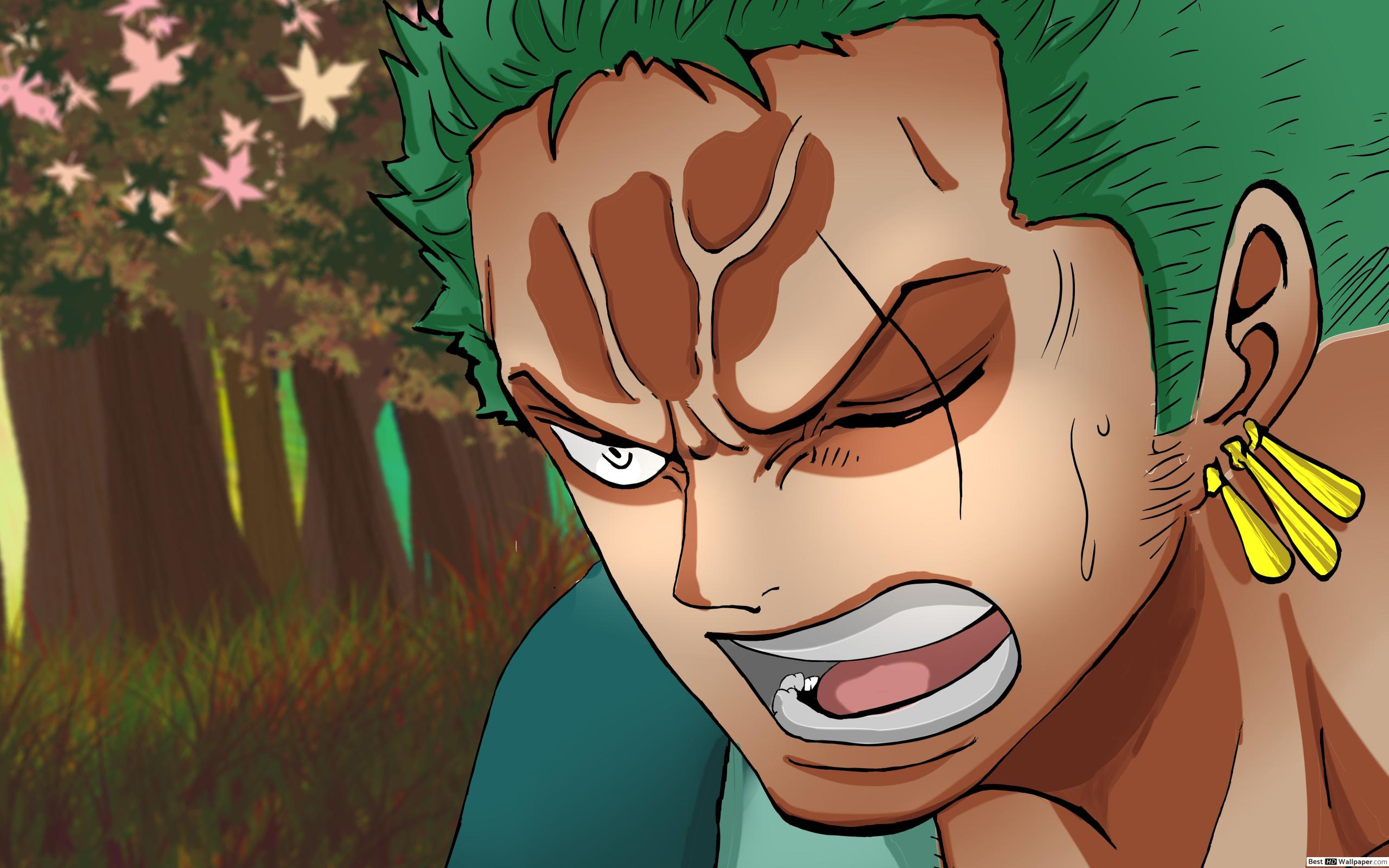 One Piece Zoro Wano Kuni Arc HD wallpaper download