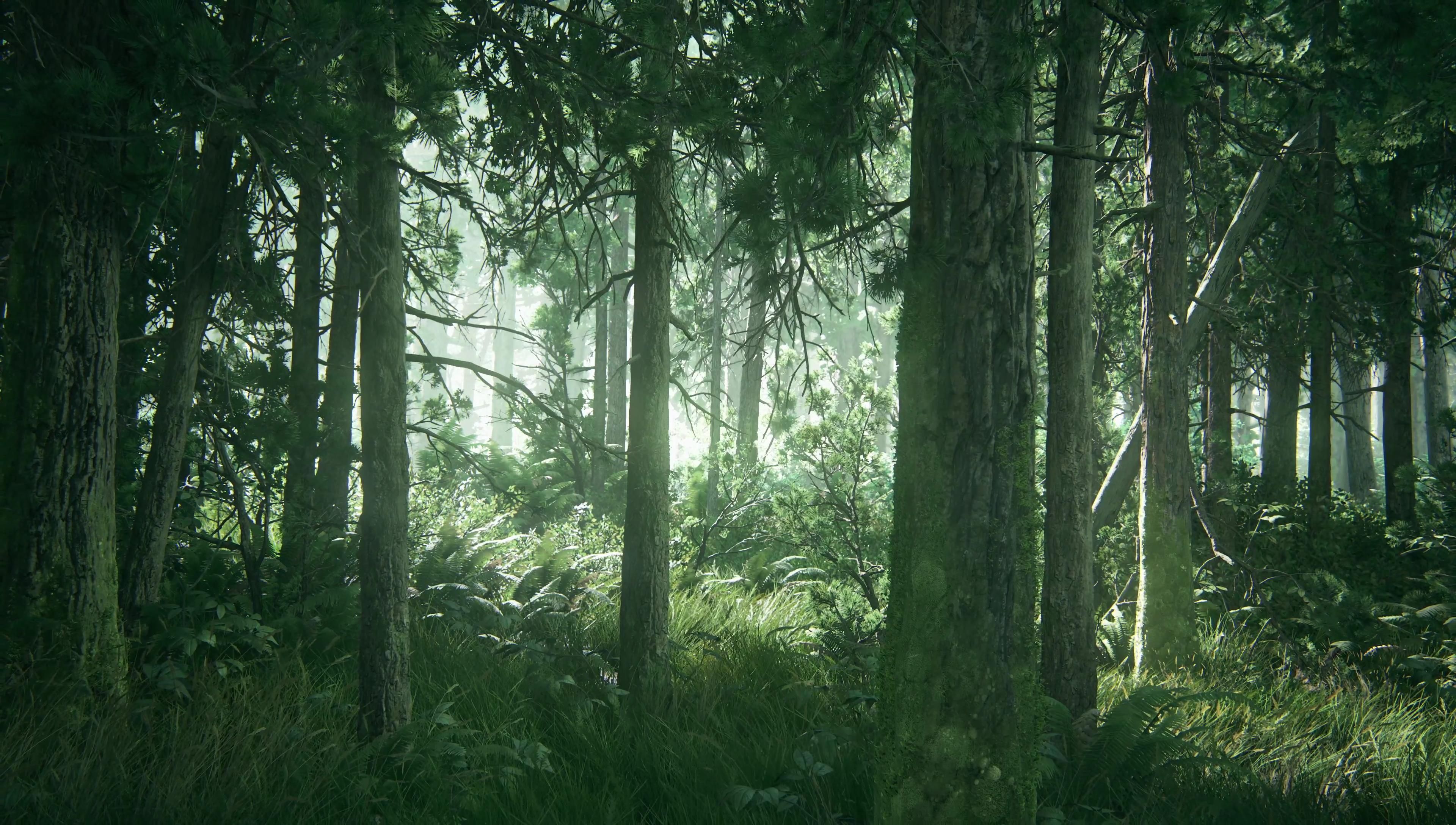 Gallery TfKlF. The Last Of Us, Live Wallpaper, Forest Wallpaper