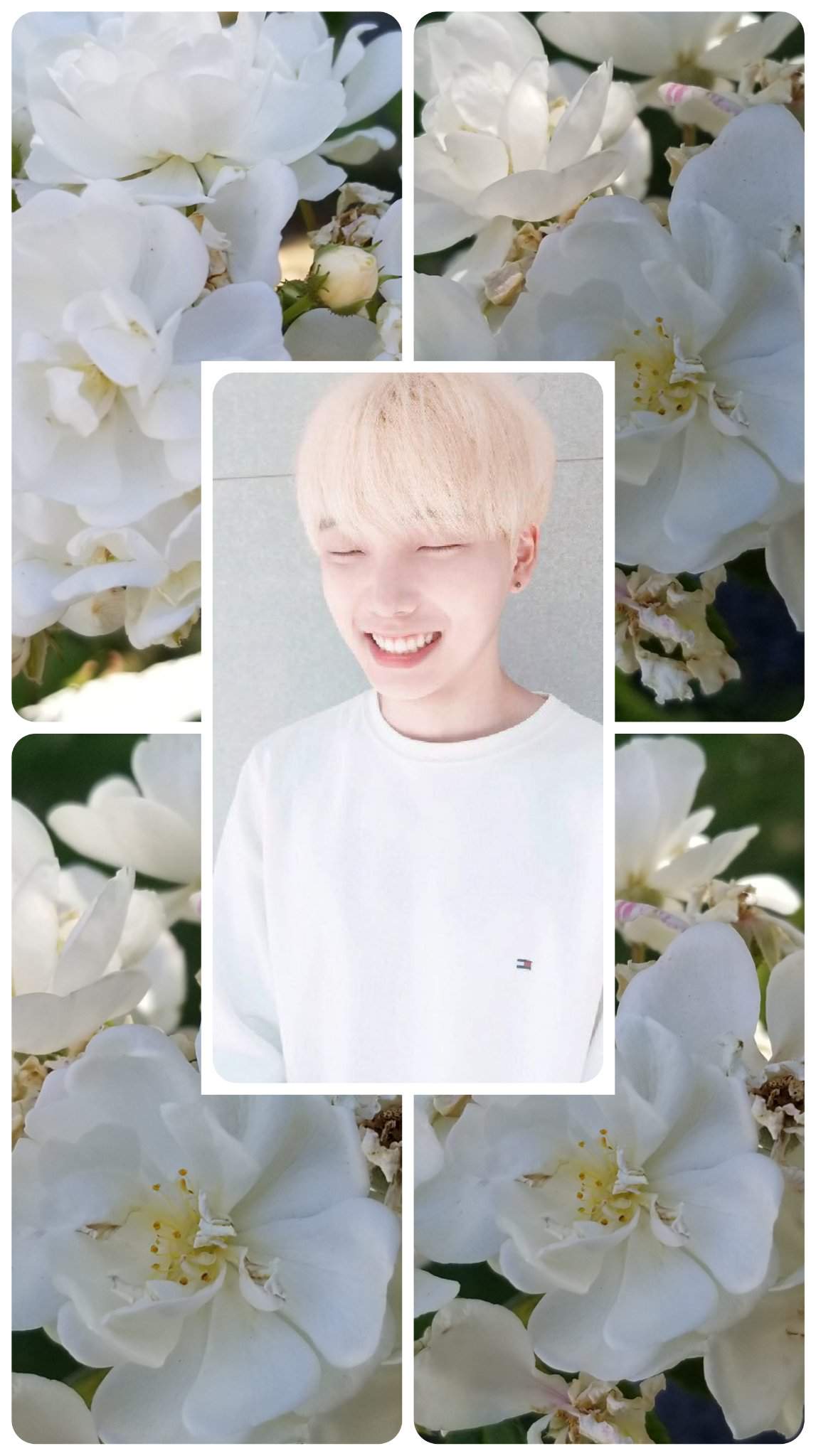 Wallpaper of Seoho. ONEUS 원어스 Amino