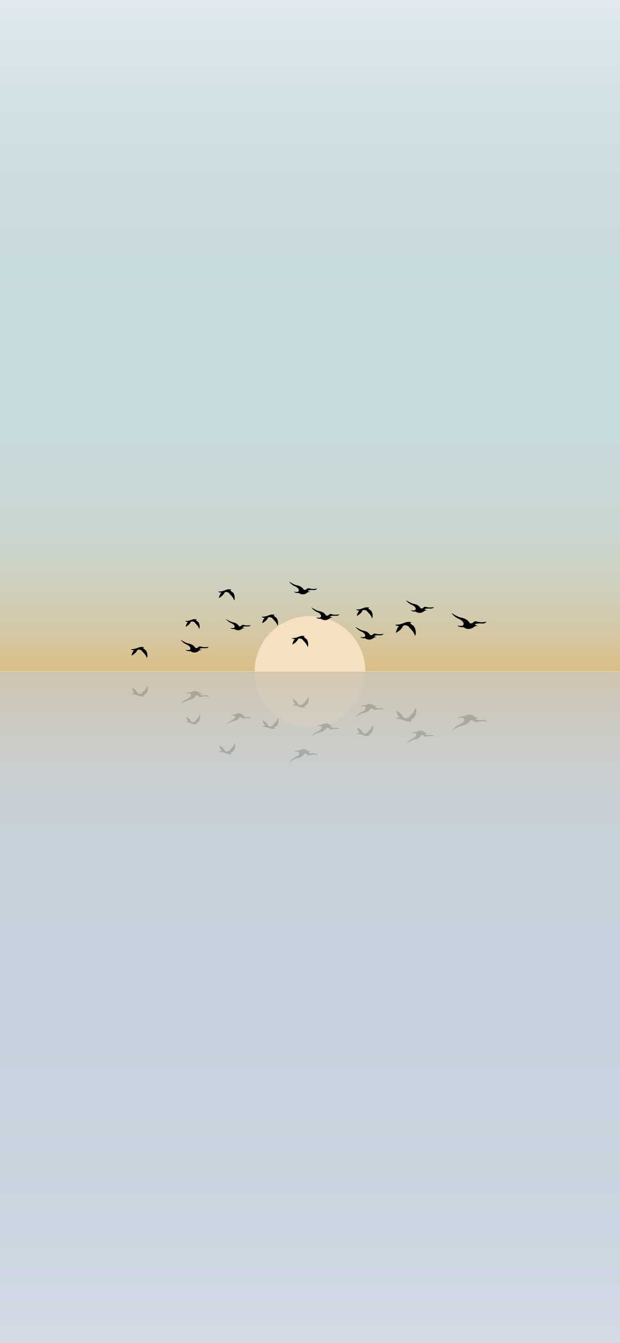Minimalist phone wallpaper and birds flying. Minimalist phone, Wallpaper, Phone wallpaper