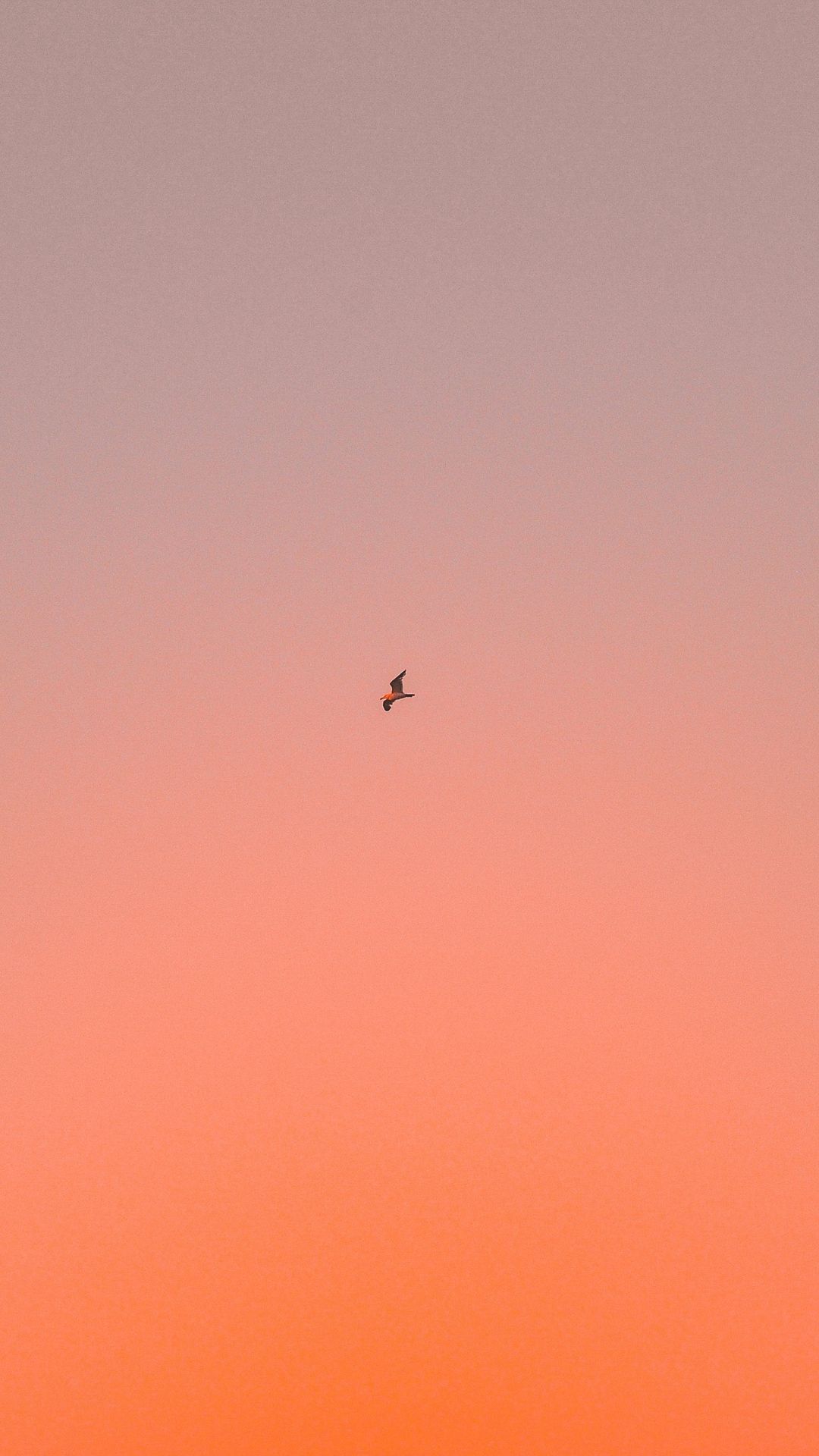sky #bird #gradient #minimalism #wallpaper #lockscreen #mobile #android #ios #infinitywallpaper. Minimal wallpaper, Wallpaper, Android wallpaper