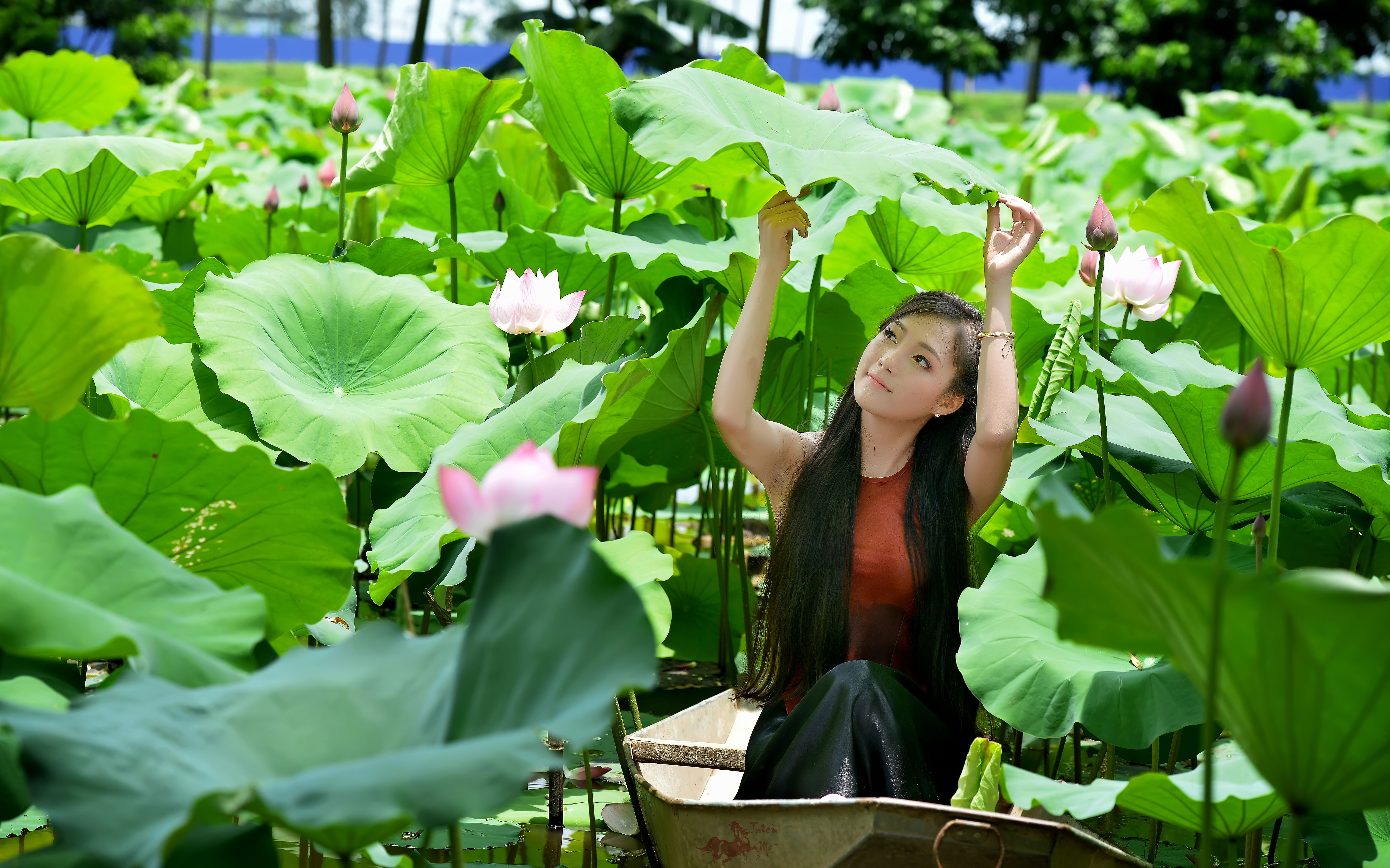 Asian Boat Girl Leaf Lotus Pond Vietnamese Woman Wallpaper:6400x4000