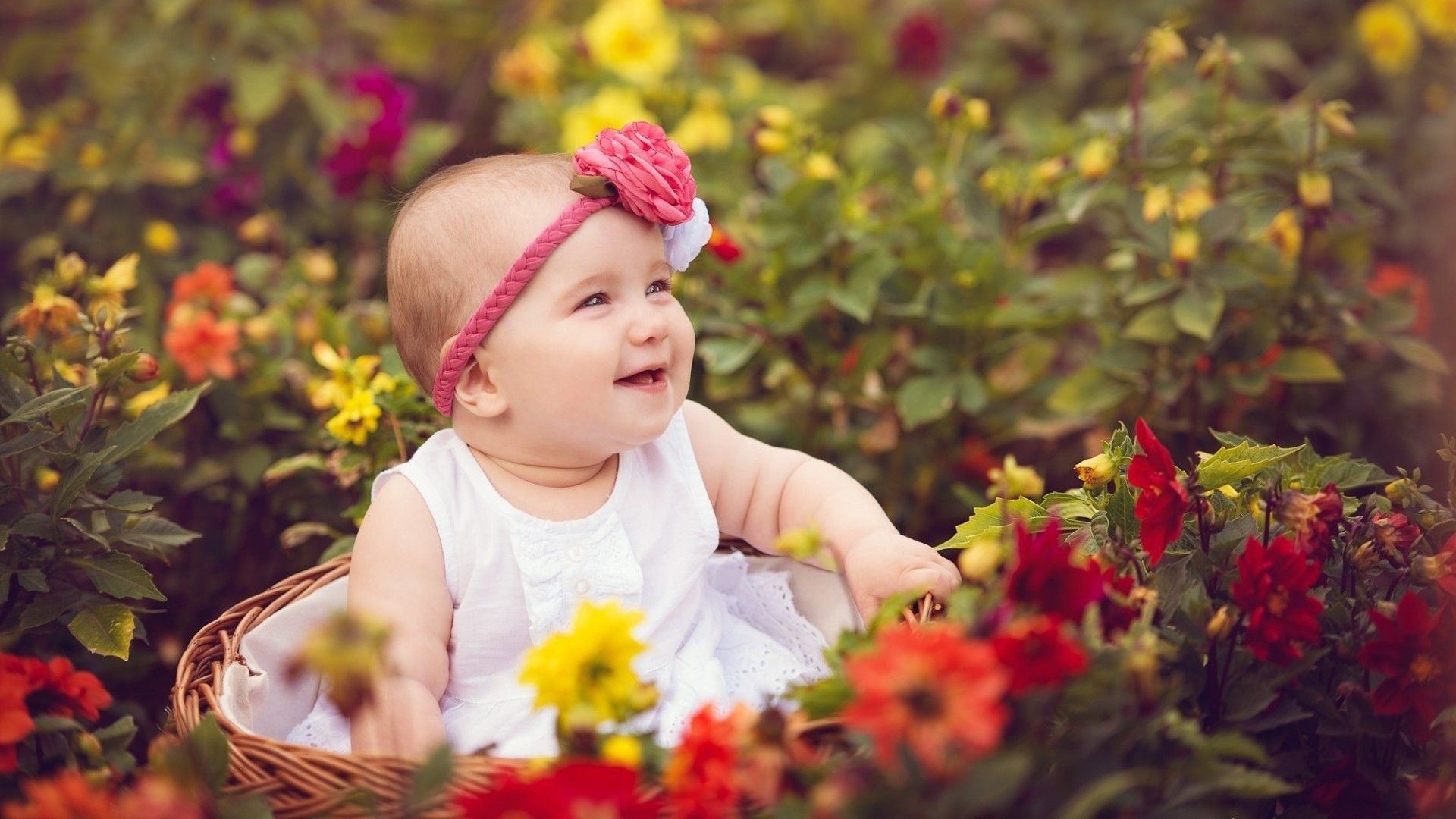 Smiley Cute Baby Girl Is Sitting Inside Bamboo Basket Surrounded By Colorful Flowers Wearing White Dress And Flower Band On Head HD Cute Wallpaper