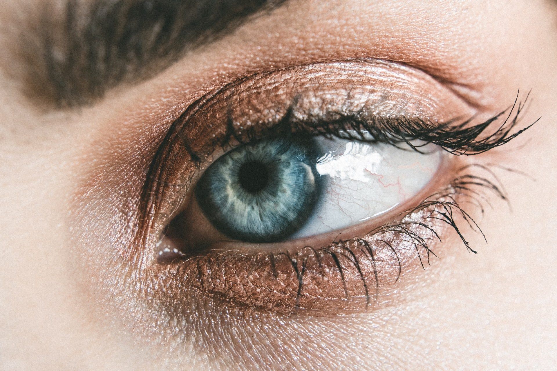 キレイな目 – Close-up of a woman’s brown eye and eyelashes – fumumu