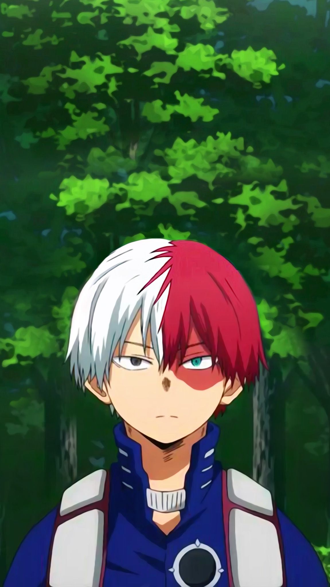 ❄️Shoto Todoroki Aesthetic Wallpaper