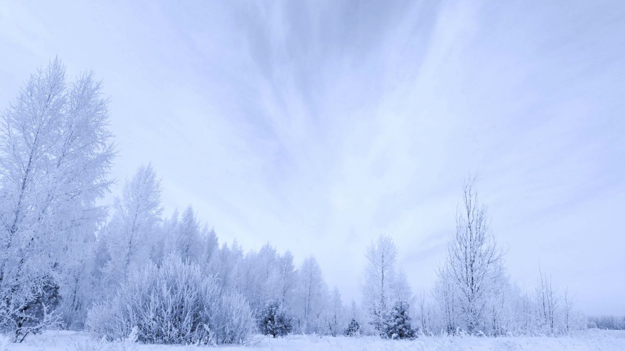 White winter trees snow sky clouds forest countryside landscapes nature earth wallpaperx2160