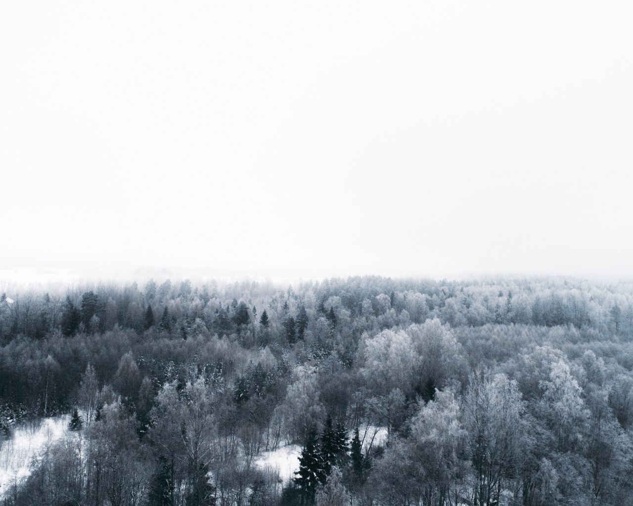 Download wallpaper 1280x1024 winter, trees, aerial view, minimalism, white standard 5:4 HD background