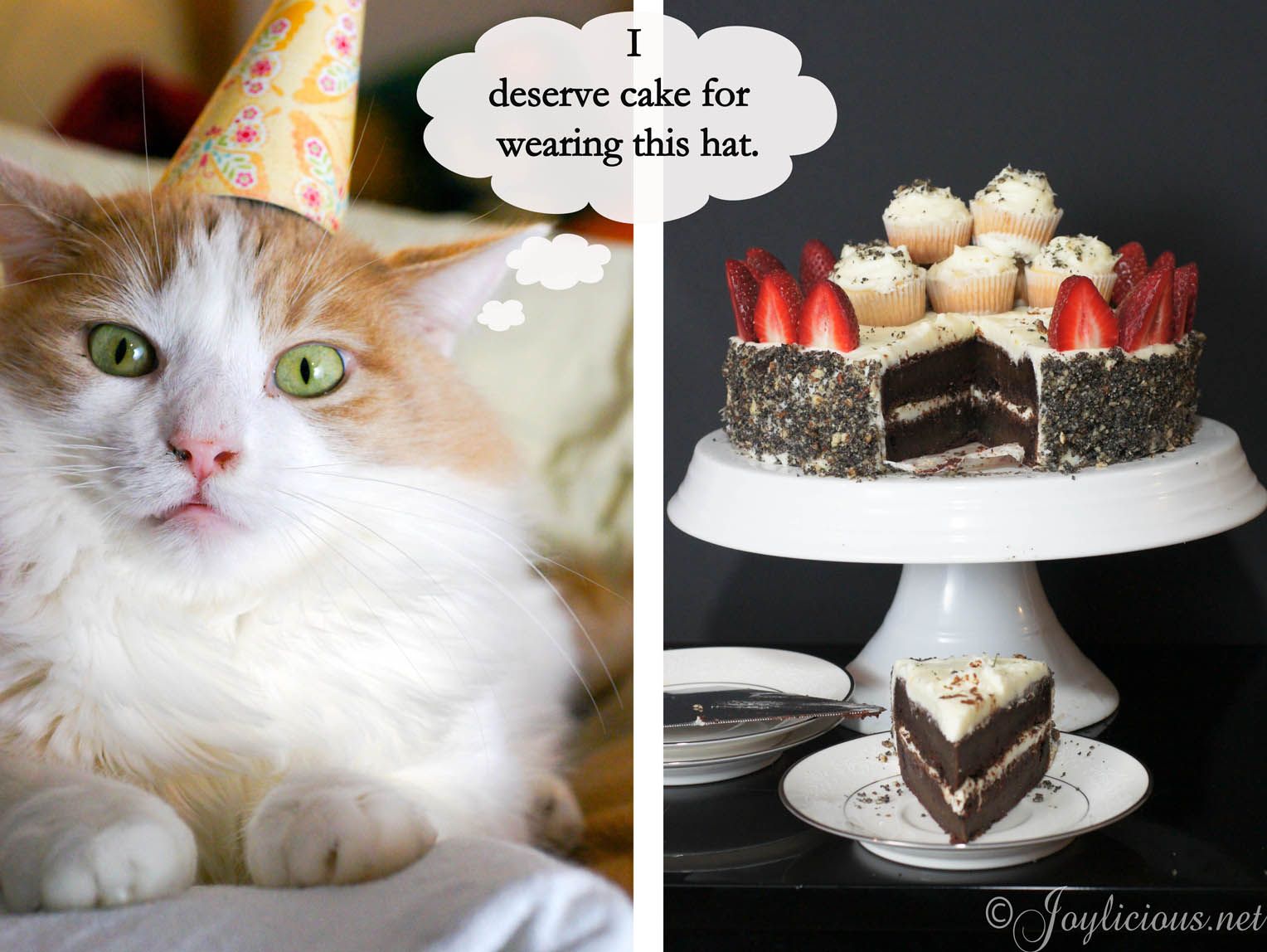 Funny Birthday Wallpaper for Desktop