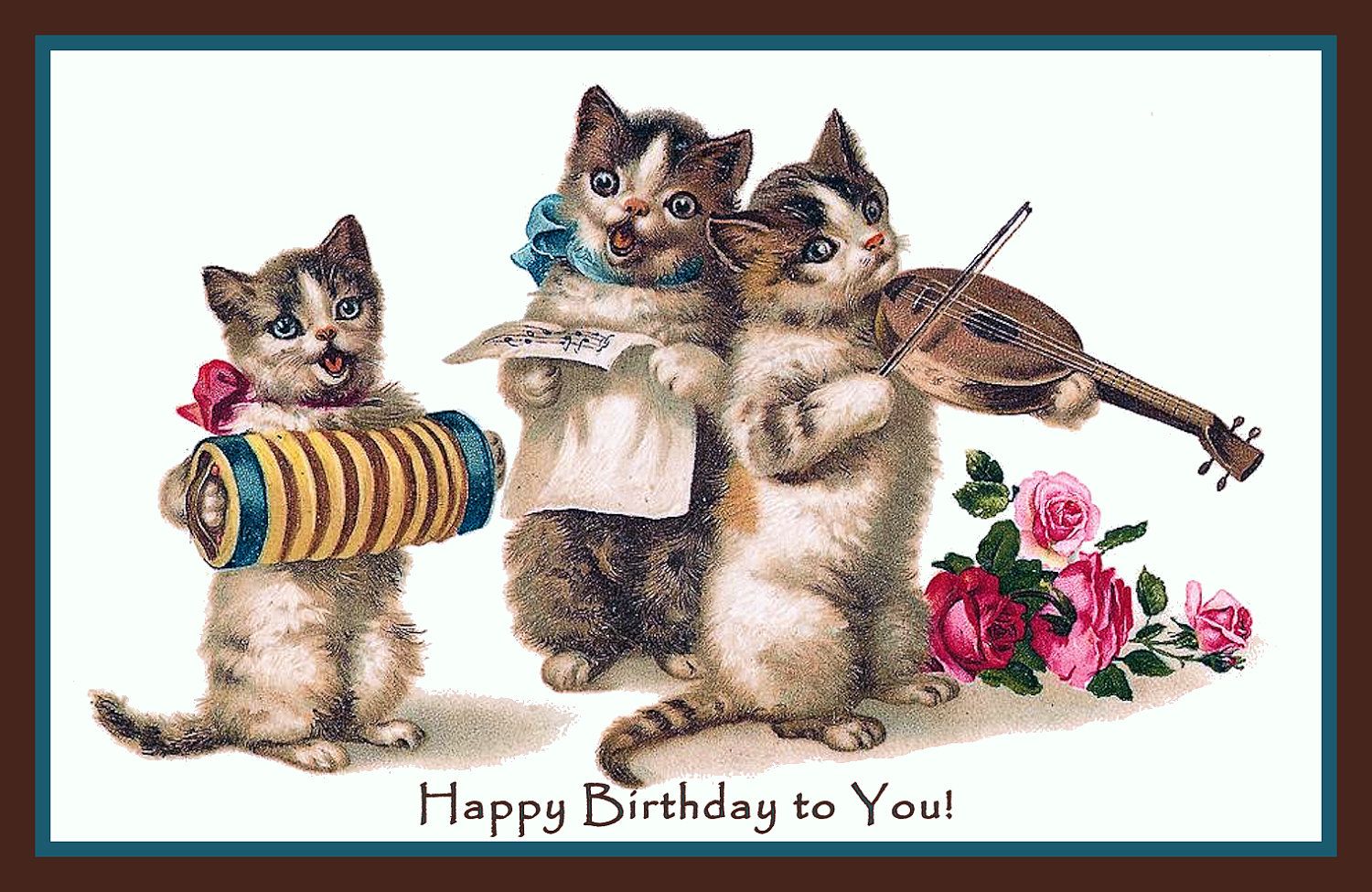Download Happy Birthday Cat Wallpaper Gallery