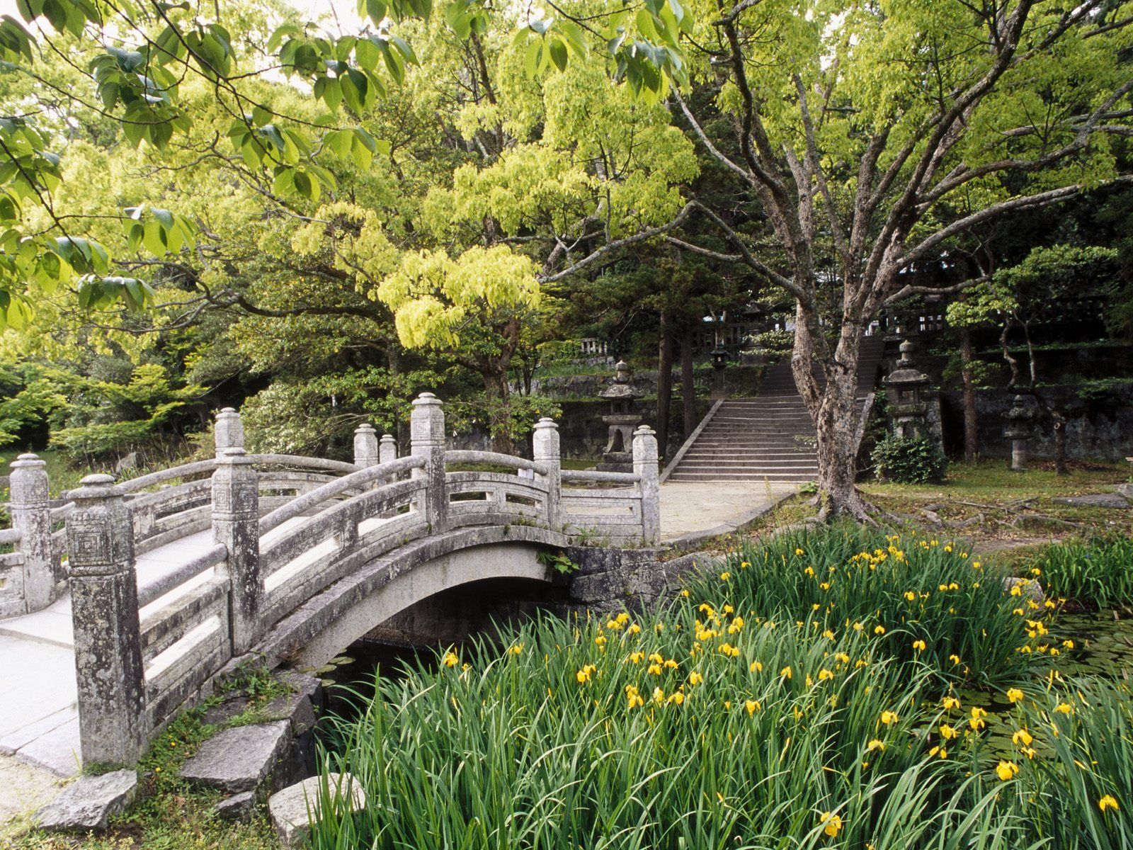 Hagi Castle Garden Wallpaper Japan World Wallpaper in jpg format for free download