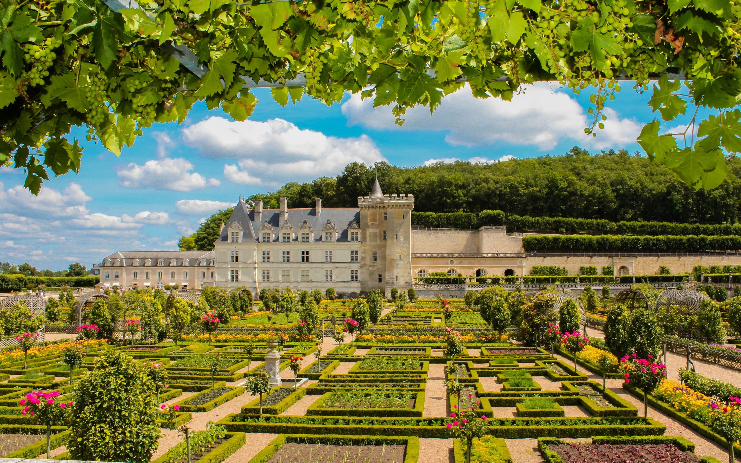 castle, France, Chateau de Villandry .besthqwallpaper.com