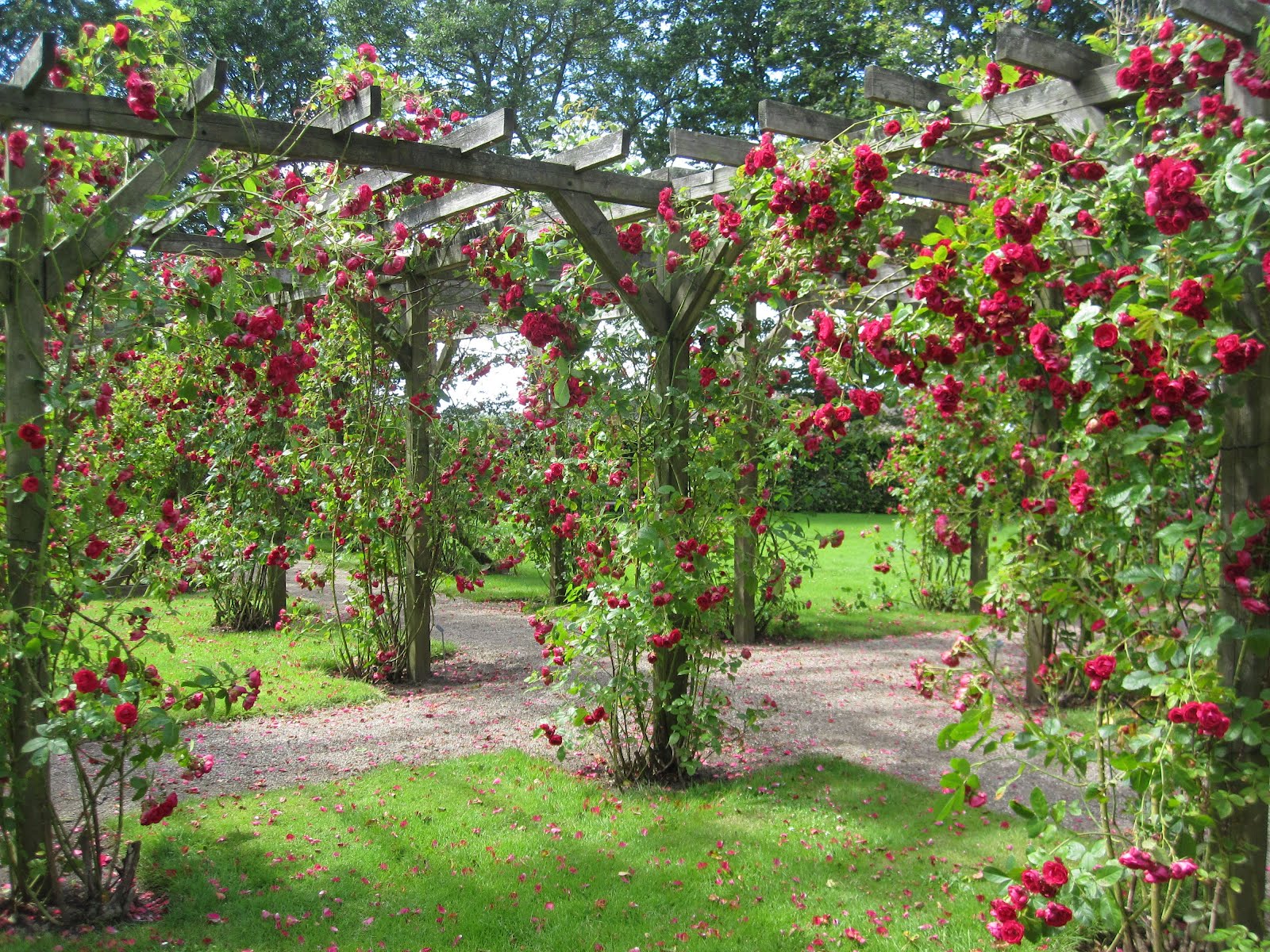 Backyard Gardens Wallpaper