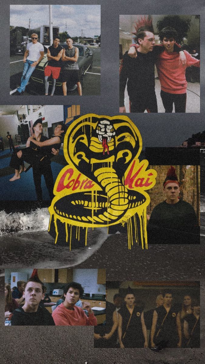 Aesthetic Cobra Kai Wallpaper. Cobra kai wallpaper, Karate kid cobra kai, Kid cobra