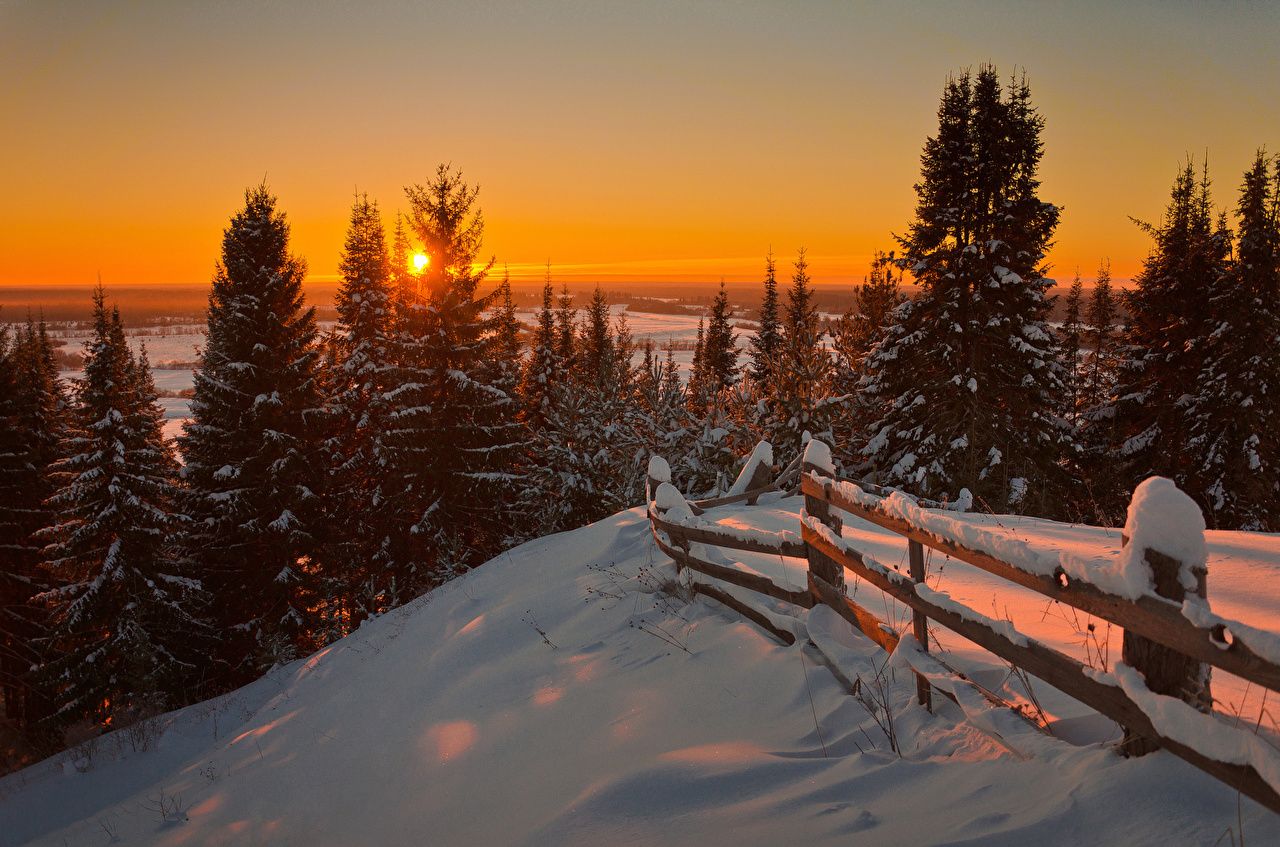 Picture Winter Nature Snow Fence forest Sunrises and sunsets
