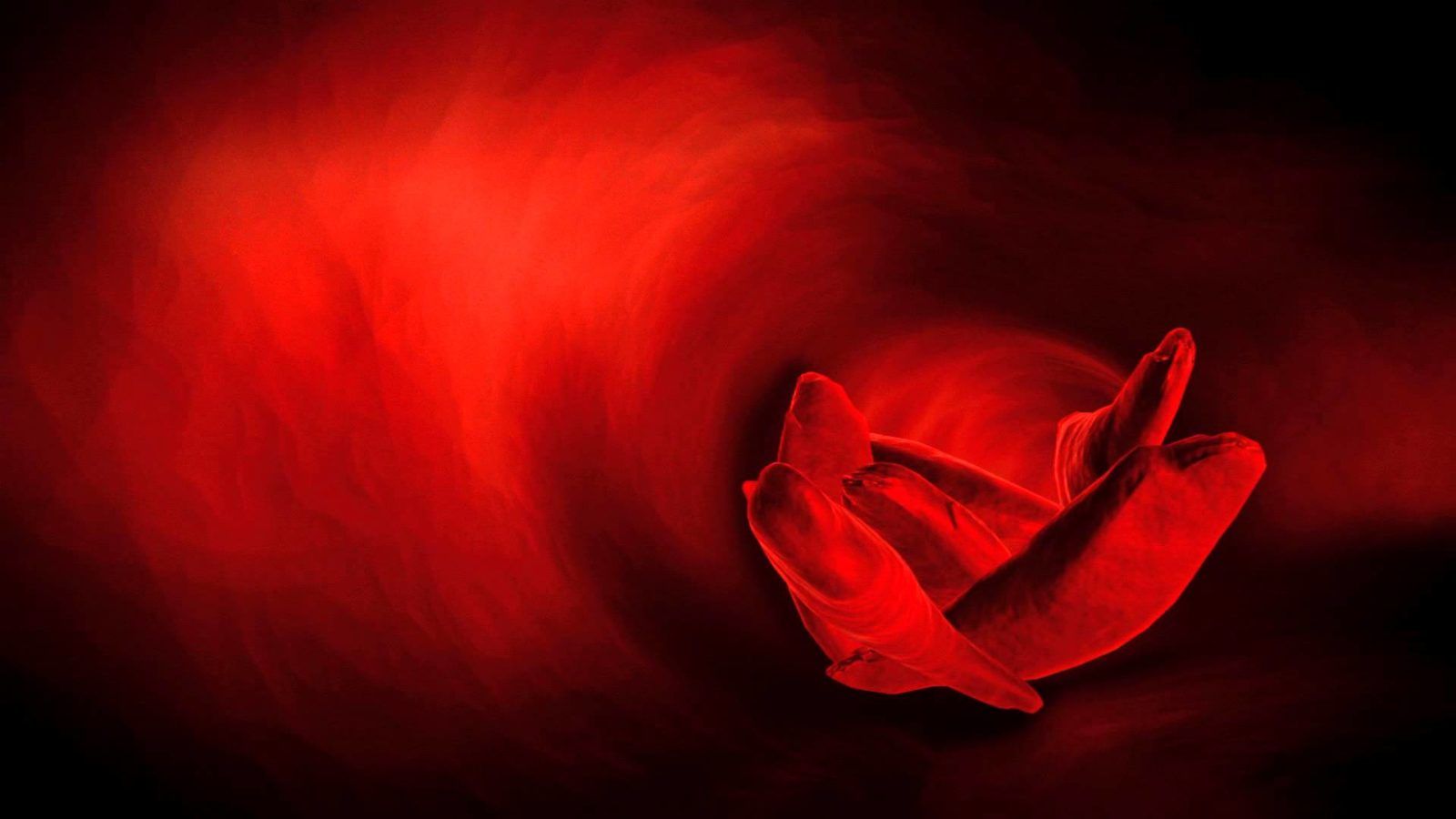 Understanding Sickle Cell Anemia