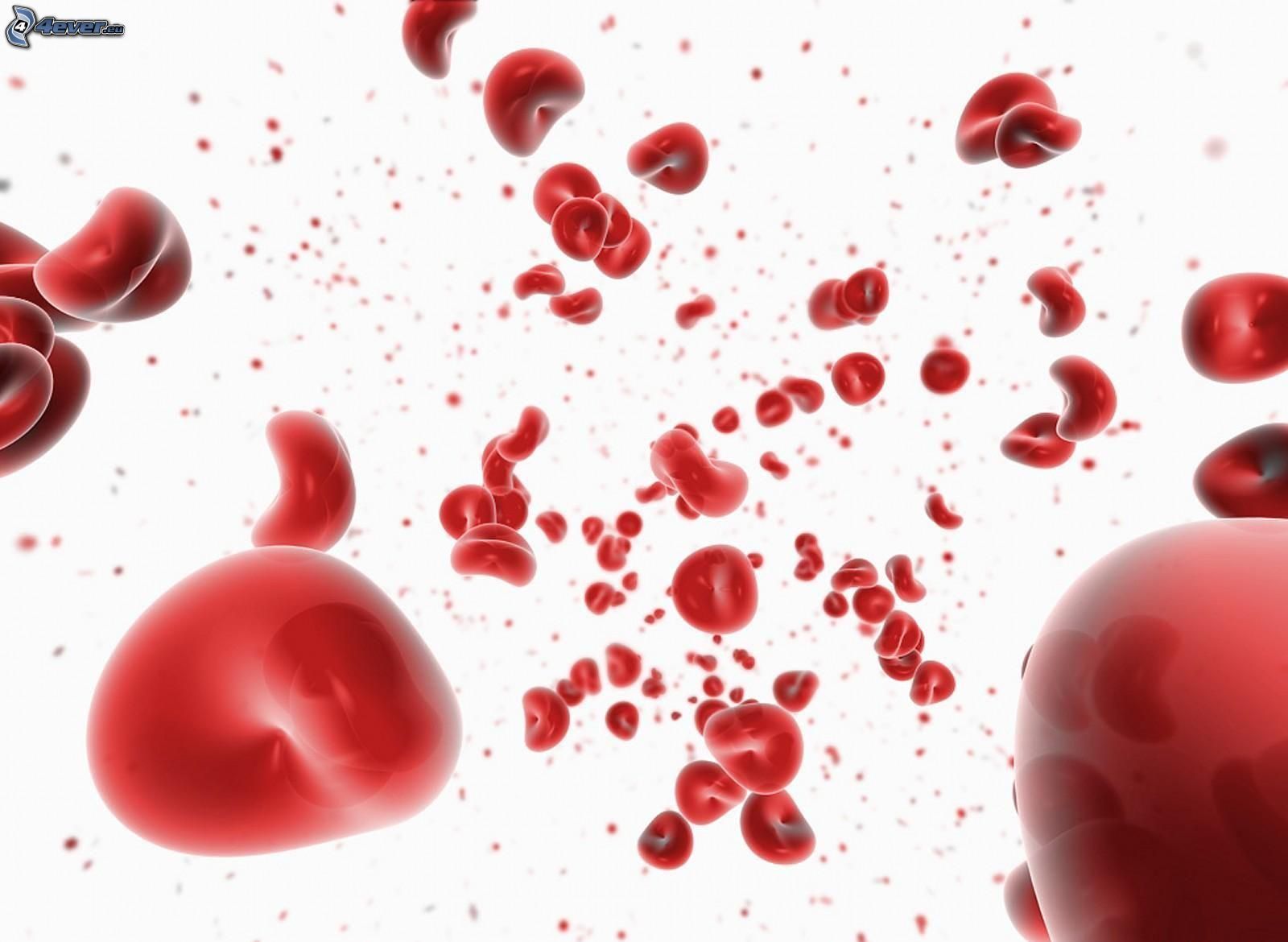 Blood Cells Wallpaper Free Blood Cells Background