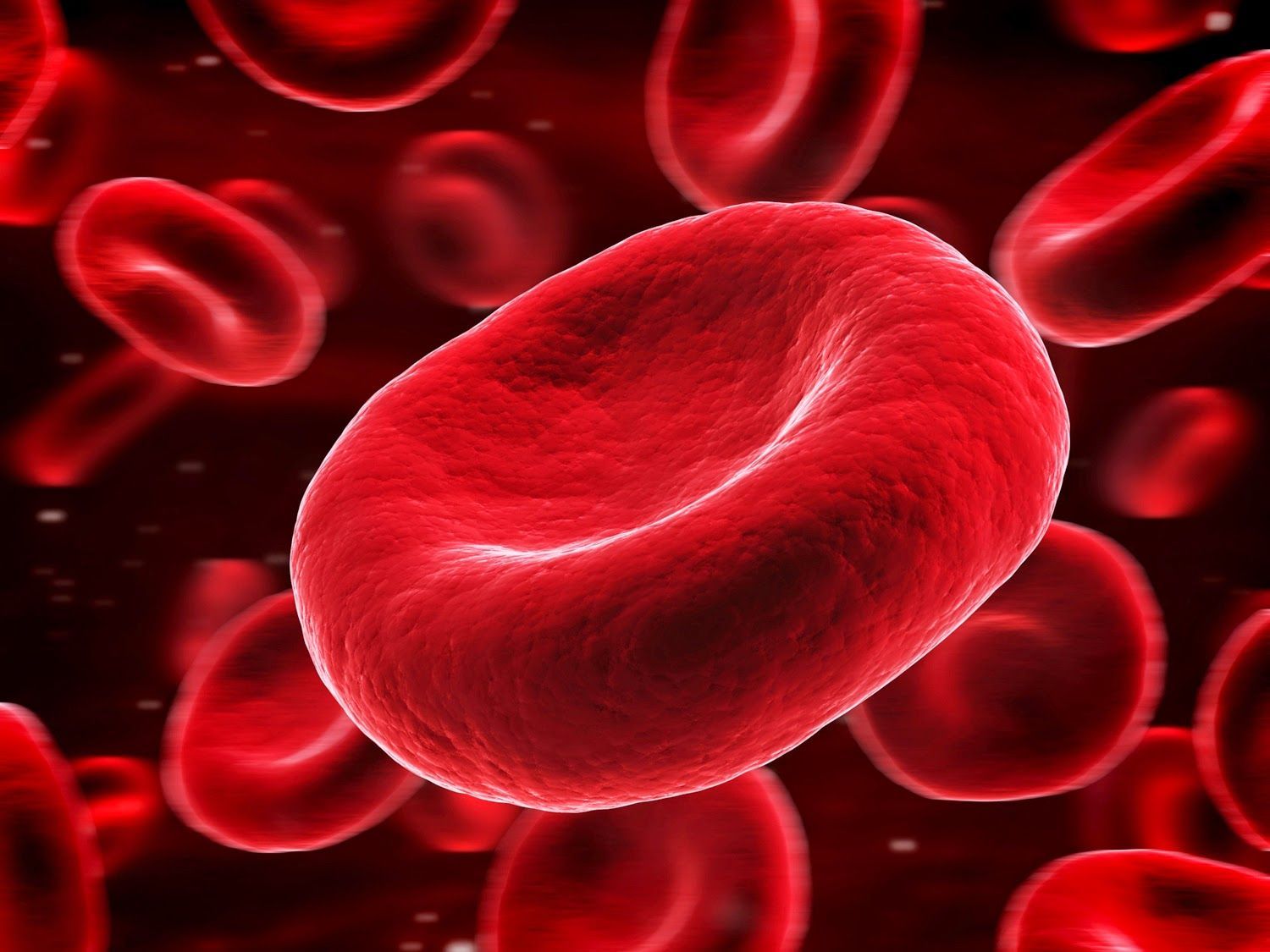 Blood Cells Wallpaper Free Blood Cells Background