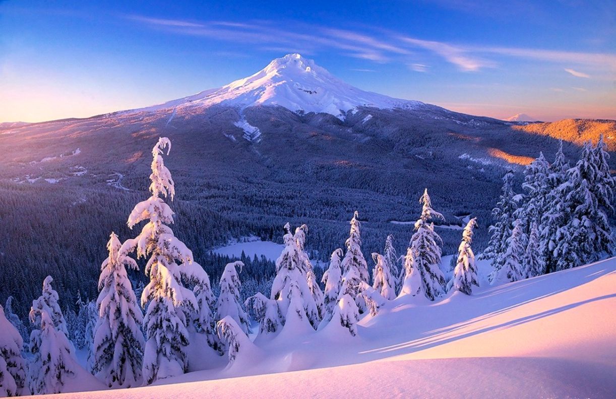 Snowy Forest At Sunrise Wallpapers - Wallpaper Cave