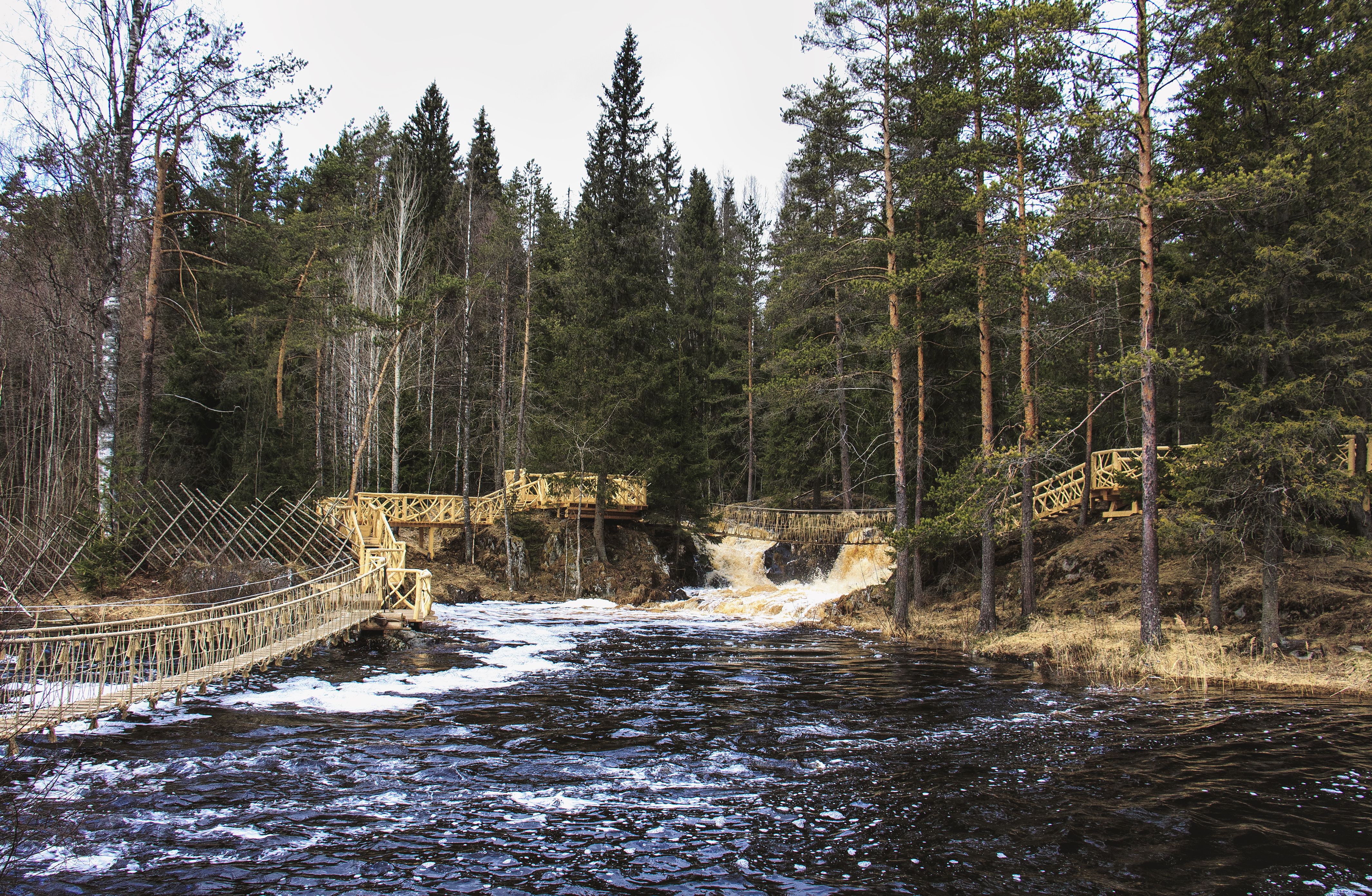 Fast river in the coniferous forest, Russia Desktop wallpaper 1920x1200